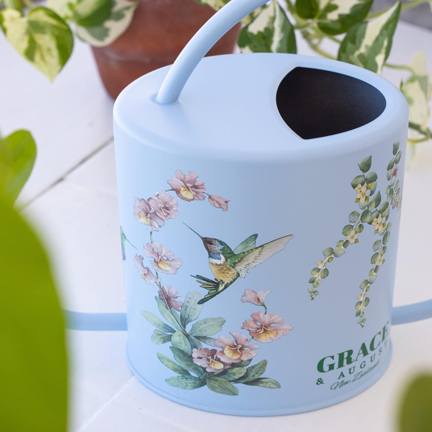 Watering Can for Indoor Plants - House Plant Watering can - Colorful, Decorative Indoor Water can for Plants - Metal Indoor Watering can with Long Spout - 1.5L 51floz 0.4 Gallon(Hummingbird Blue)