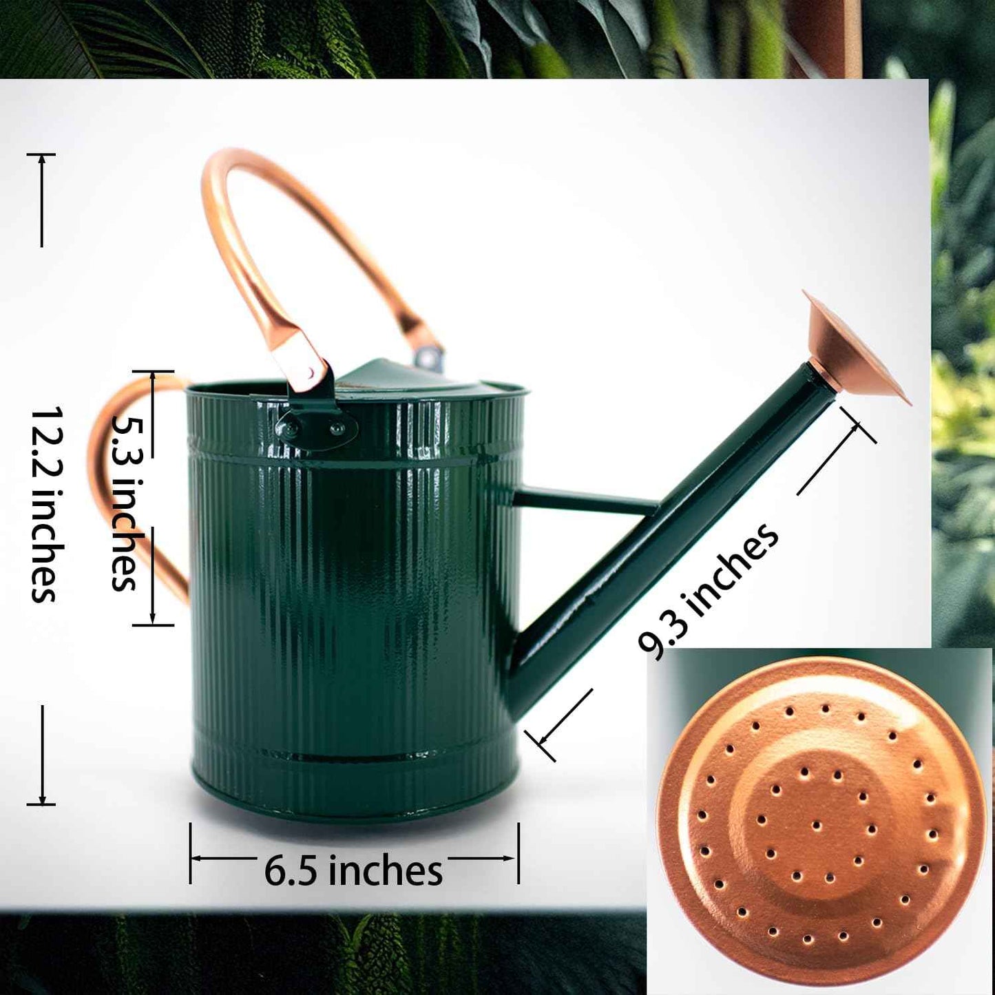 1 Gallon Watering Can, Plant Wate Can, Metal Watering Can with Removable Spout, Galvanized Watering jug, Nice Green Water Can for Indoor and Outdoor use