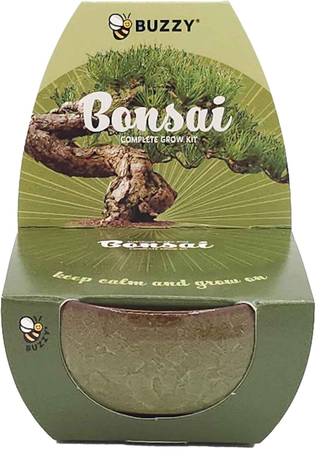BUZZY Seeds 4-Pack Bonsai Tree Growing Kit Includes Black Austrian Pine, Monterey Cypress, Blue Spruce, Norway Spruce with Green, Blue, Dark Blue, and Gold Crackle Pots, Indoor Gardening Gift Set