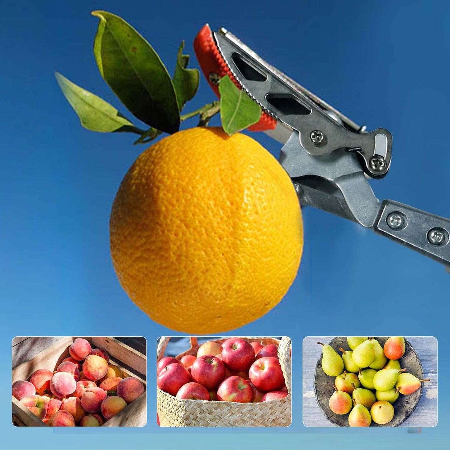 GARTOL Pruner for Garden, Cut Upto 1 Inch & Hold Telescopic Pole Pruner, Fruit Picker with Rotating Blade Head, Lightweight Aluminum Extendable Handle for Tree Branch Cutter, 3.67-5.45 FT, Silver