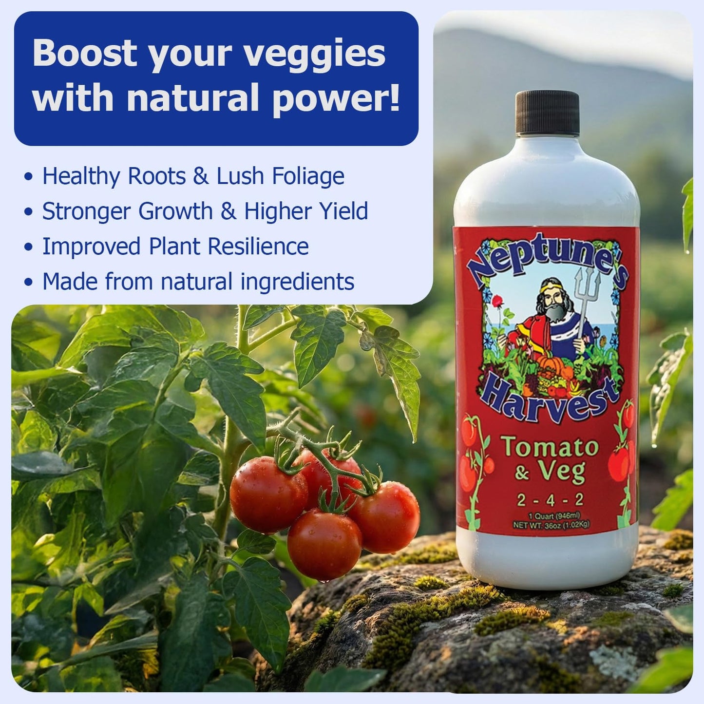 Neptune’s Harvest Organic Tomato & Vegetable Plant Fertilizer (2-4-2) - Liquid Plant Food w/Fresh Fish, Seaweed, Molasses, Yucca Extract, & Humic Acids - for Vegetable Garden (Quart (Single))