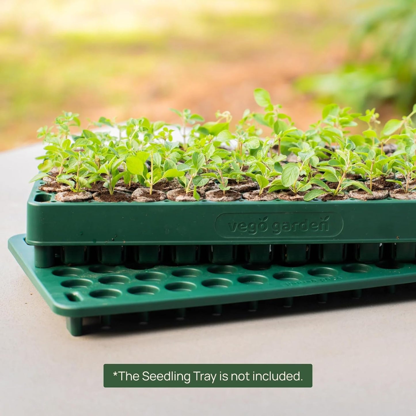 Vego garden 3-in-1 Plant & Pop Board Seedling Popper Tool, 10" x 20", Works Perfectly with Stackable Seedling Trays