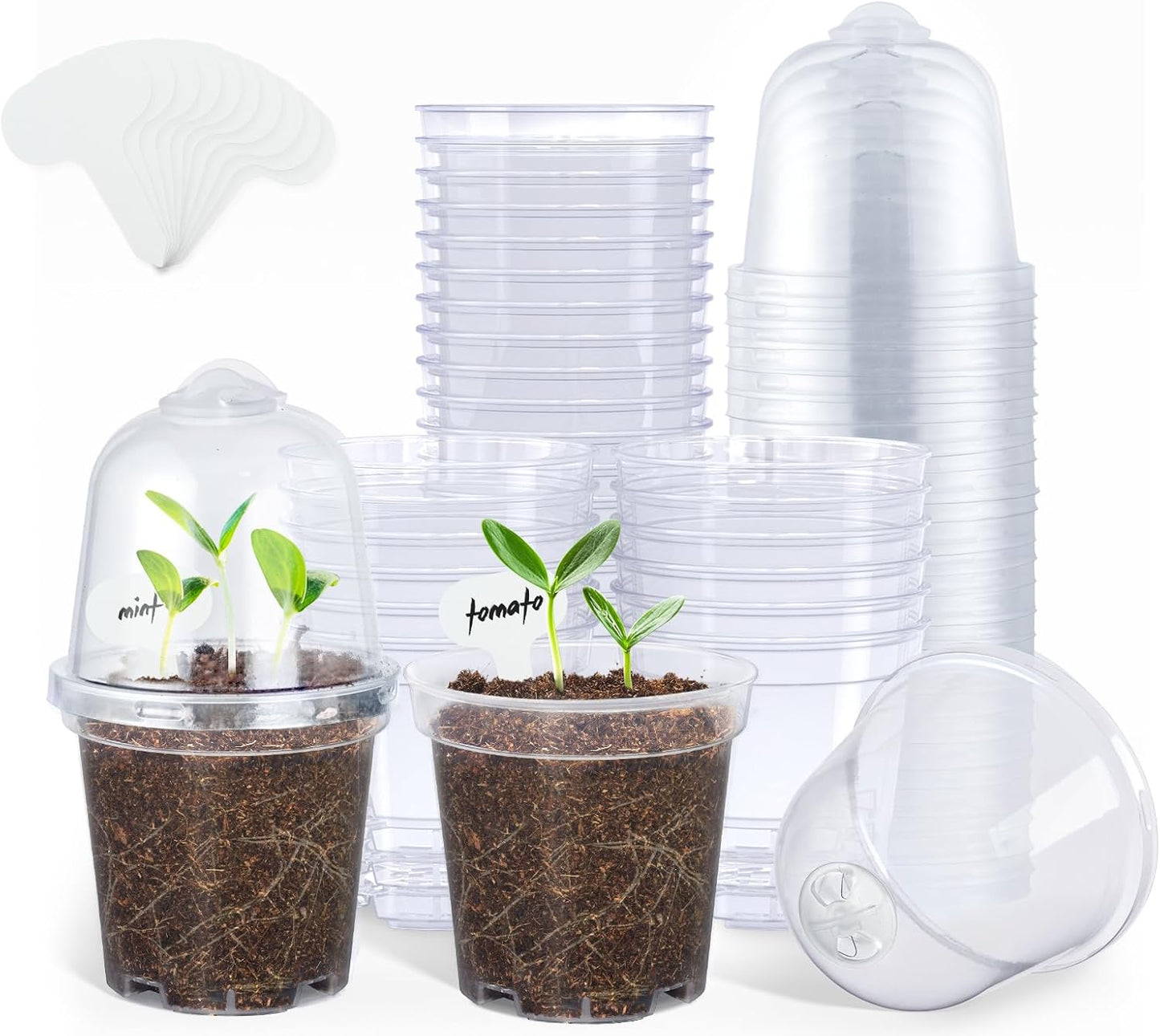 homenote Clear Nursery Pots for Plants,3 Inch Plant Pot for Planting with Humidity Domes Plastic Seedling with Drainage Holes Seed Starter Flower High Transparency (30 Pack)