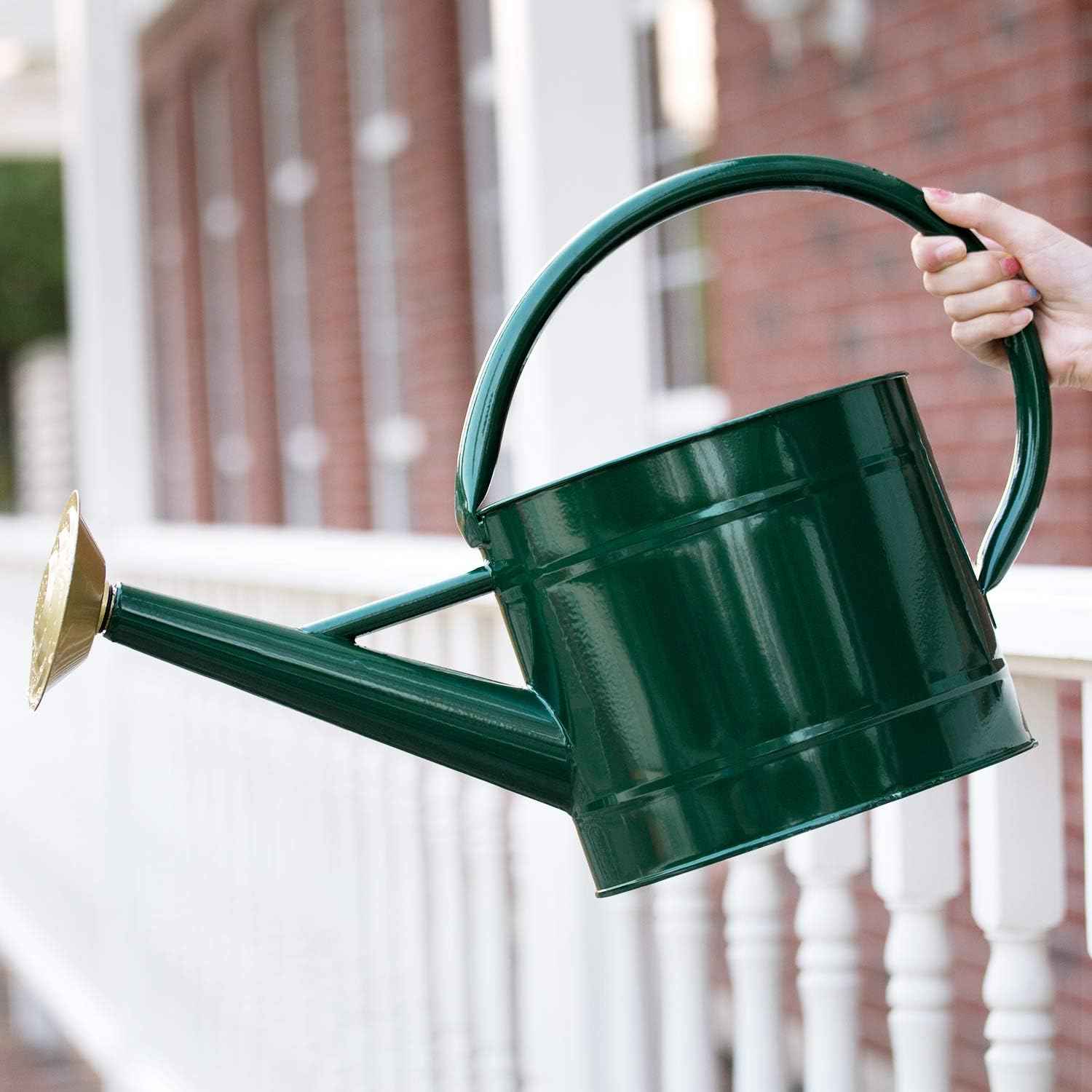 1.3 Gal Watering Can, Metal Watering Can with Removable Spout, Galvanized Water Can, Nice Plant Water Can for Indoor and Outdoor Use