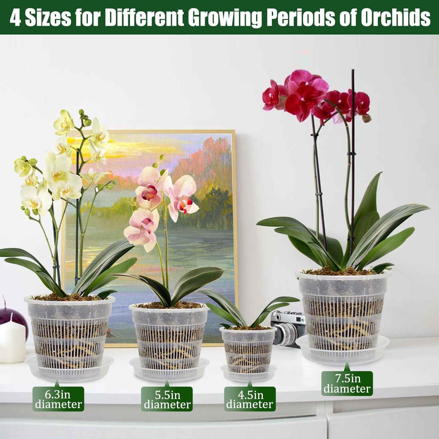 12Pcs Orchid Pot, 3 Each of 4.5, 5.5, 6.3 and 7.5 Inch Orchid Pots with Holes and Saucers, Clear Orchid Pots for Repotting, Plastic Plant Pot(3 Each of 4.5,5.5, 6.3,7.5in with Saucers)