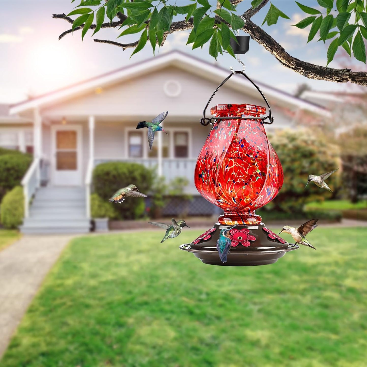 BOLITE Hand Blown Glass Hummingbird Feeder 22oz – Ant Moat, Bee-Proof, 360° Perch