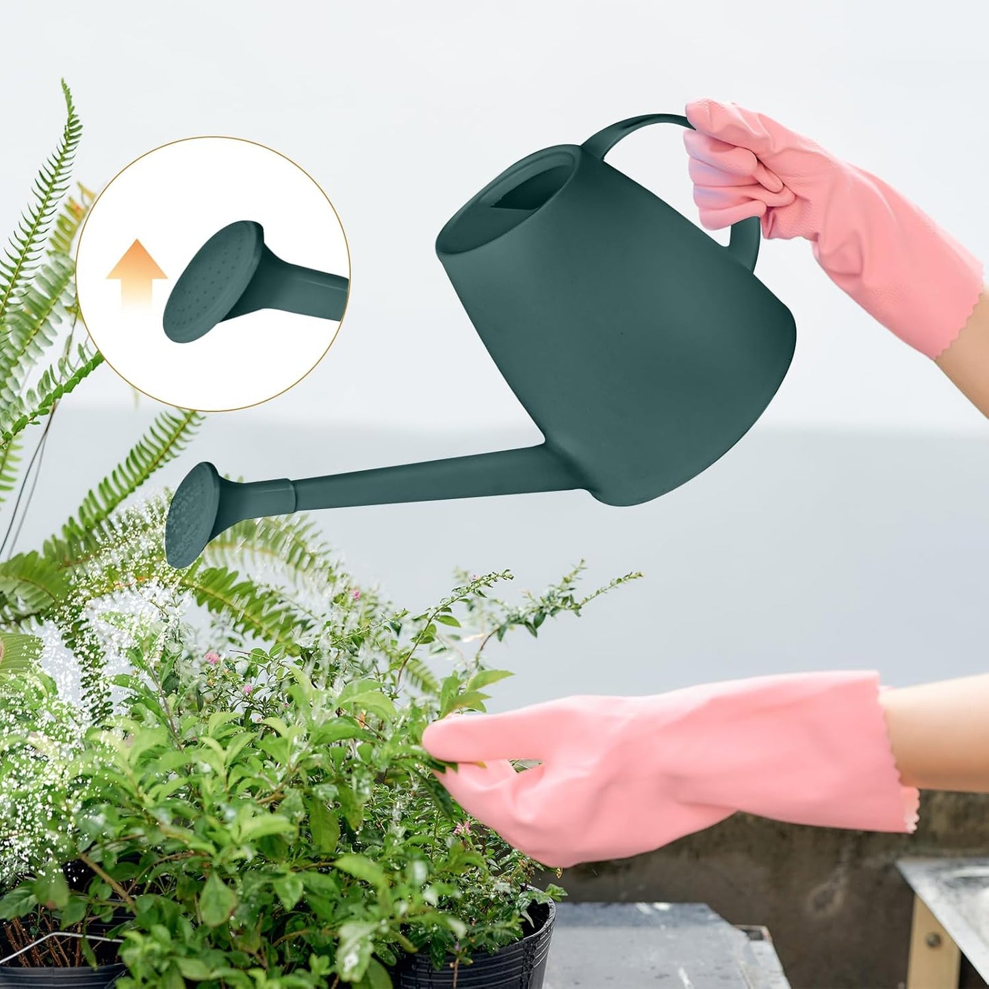 Plant Watering Can - Plastic Indoor and Outdoor - 1/2 Gallon - Blackish Green
