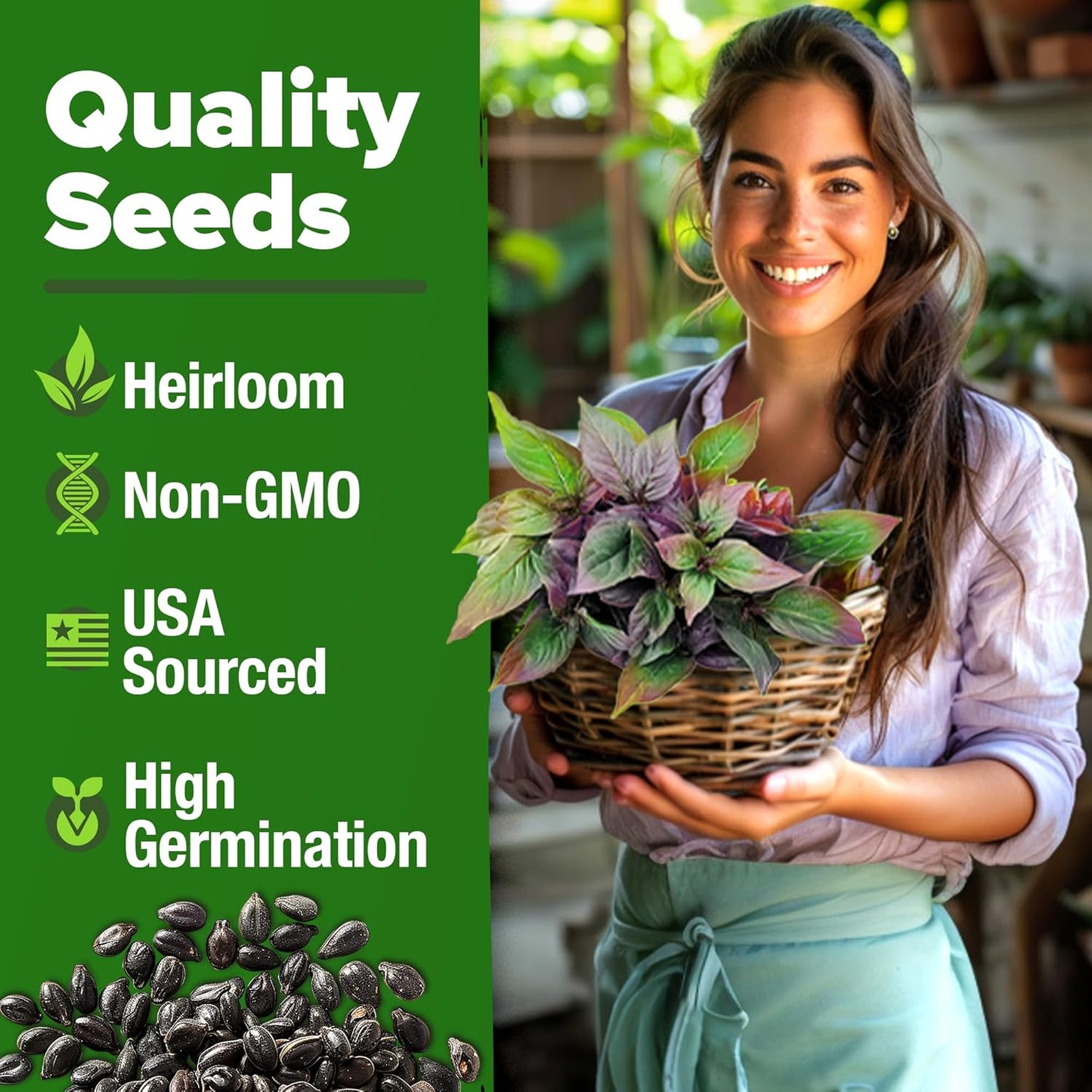 HOME GROWN Thai Basil Seeds Pack - 876 High Germination 𝗡𝗢𝗡-𝗚𝗠𝗢 𝗨𝗦𝗔 Heirloom Herb Seeds for Planting,Ideal for Growing Fresh Basil Planting Indoor or Outdoor(Ocimum basilicum var.thyrsiflora)