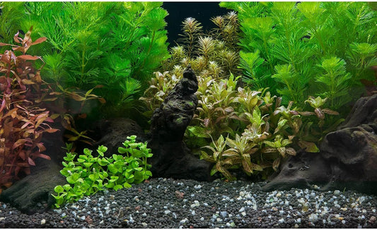 Aquarium Background Exquisite Underwater Grass Leaves with Pebbles Fish Tank Background Vivid Green Aquatic Plant Terrarium Background Stone Dead Woods Leaves Fish Tank Wallpaper 48x24in