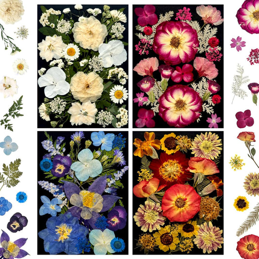 92Pcs Pressed Dried Flowers for Resin, Real Assorted Natural Bulk Dry Floral Leaves for DIY Art Crafts, Epoxy Molds, Jewelry, Soap, Candle Making, Nails Decors