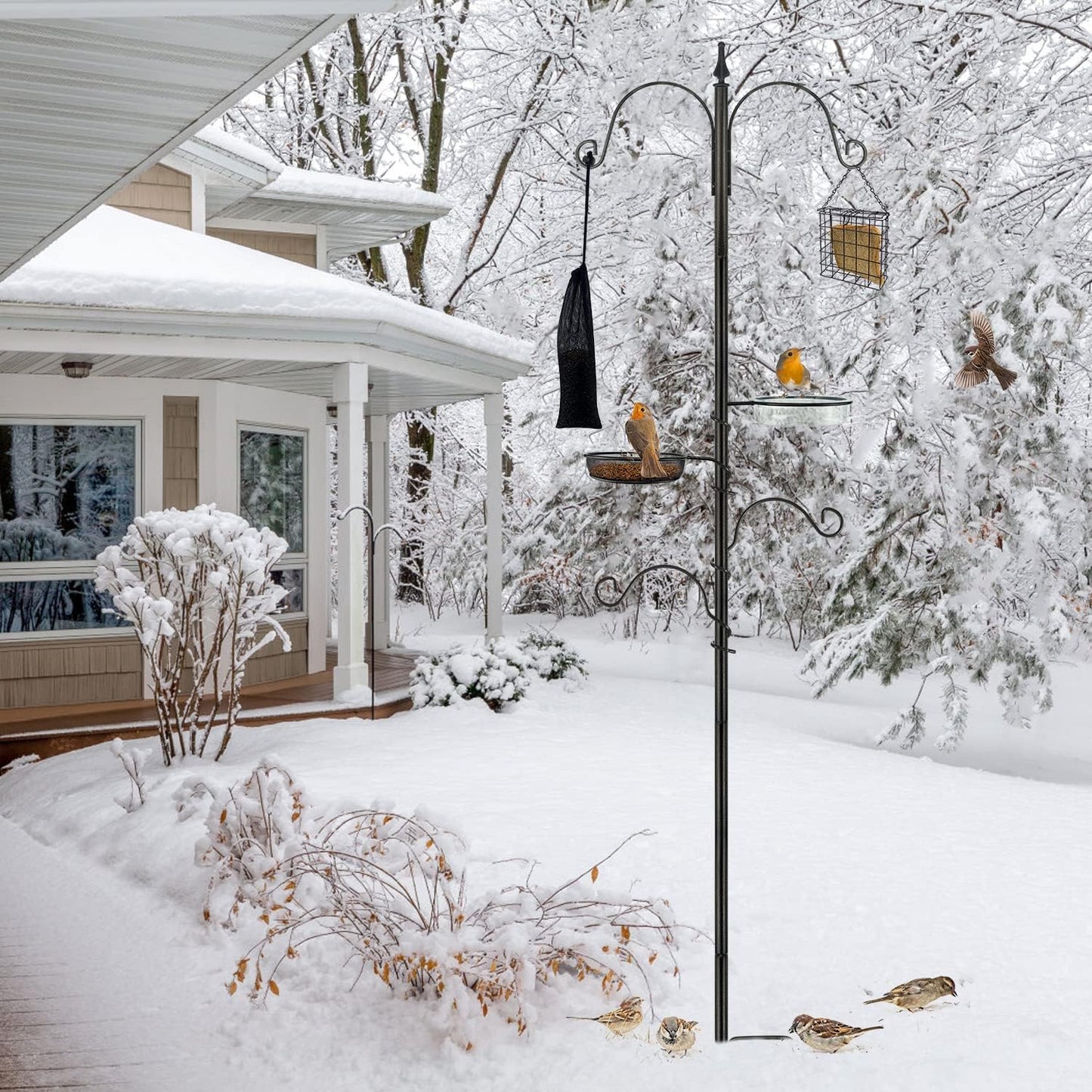 Premium Bird Feeding Station Kit - Multi Feeder Hanging Set with Suet Cage, Bird Bath & Finch Sock Attractors