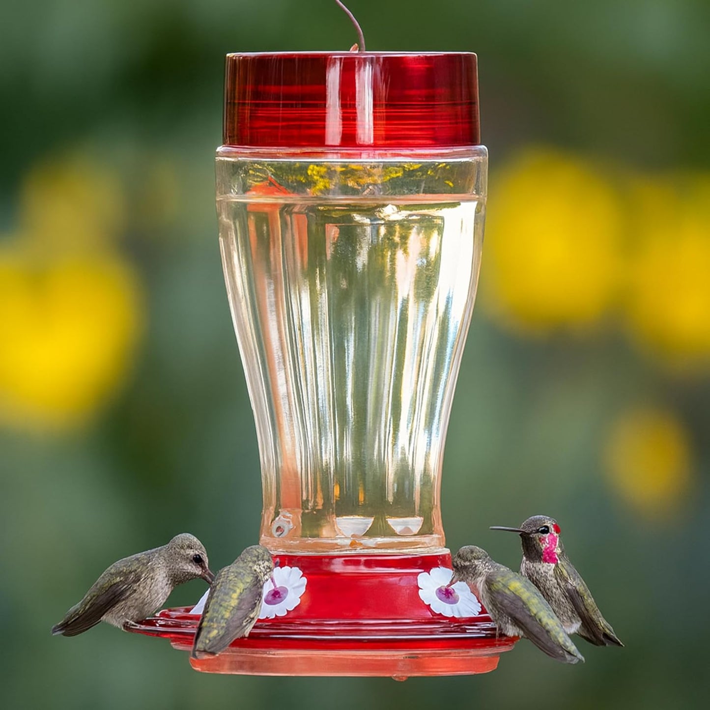 More Birds Bird Health+ Big Gulp Hummingbird Feeder, Glass Hummingbird Feeders for Outdoors, 5 Feeding Stations, 40 Ounces
