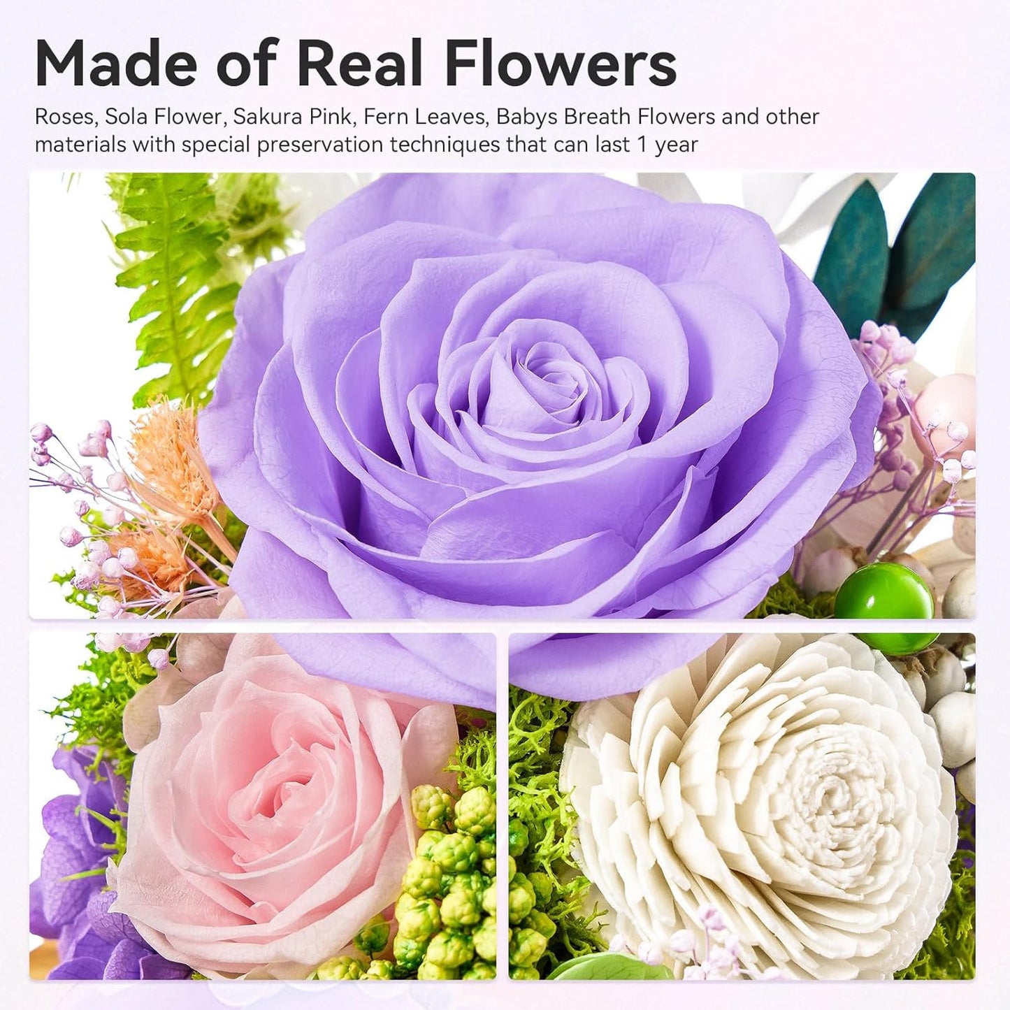 Preserved Flowers Rose Birthday Gifts for Women, Forever Flowers in Glass Ball, Long-Lasting for Mom Her Wife Grandma Anniversary Valentines (Light Purple)