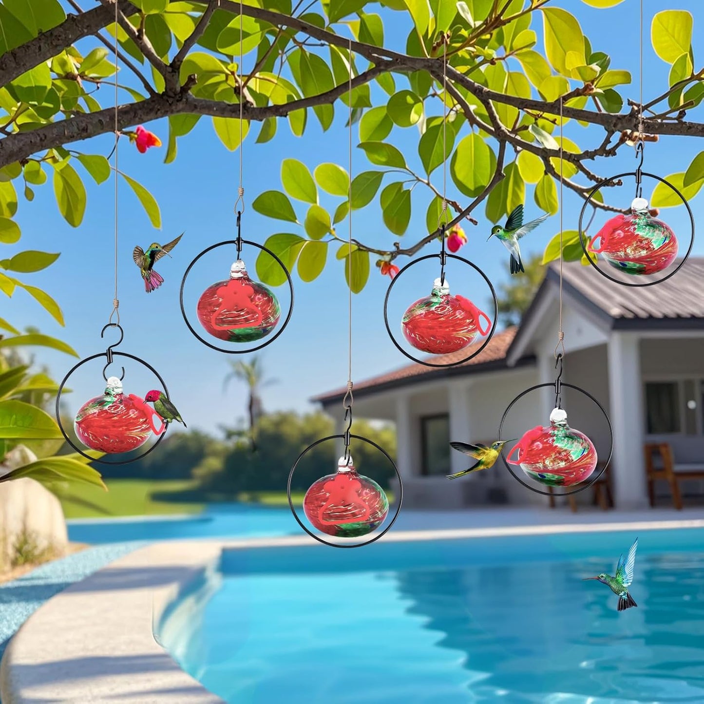 Flexible 6 Pack Hummingbird feeders for Outdoors Hanging Ant and Bee Proof,Detachable Hand Blown Glass Hummingbird Feeder with 6 Adjustable Silicone Perch(Red)