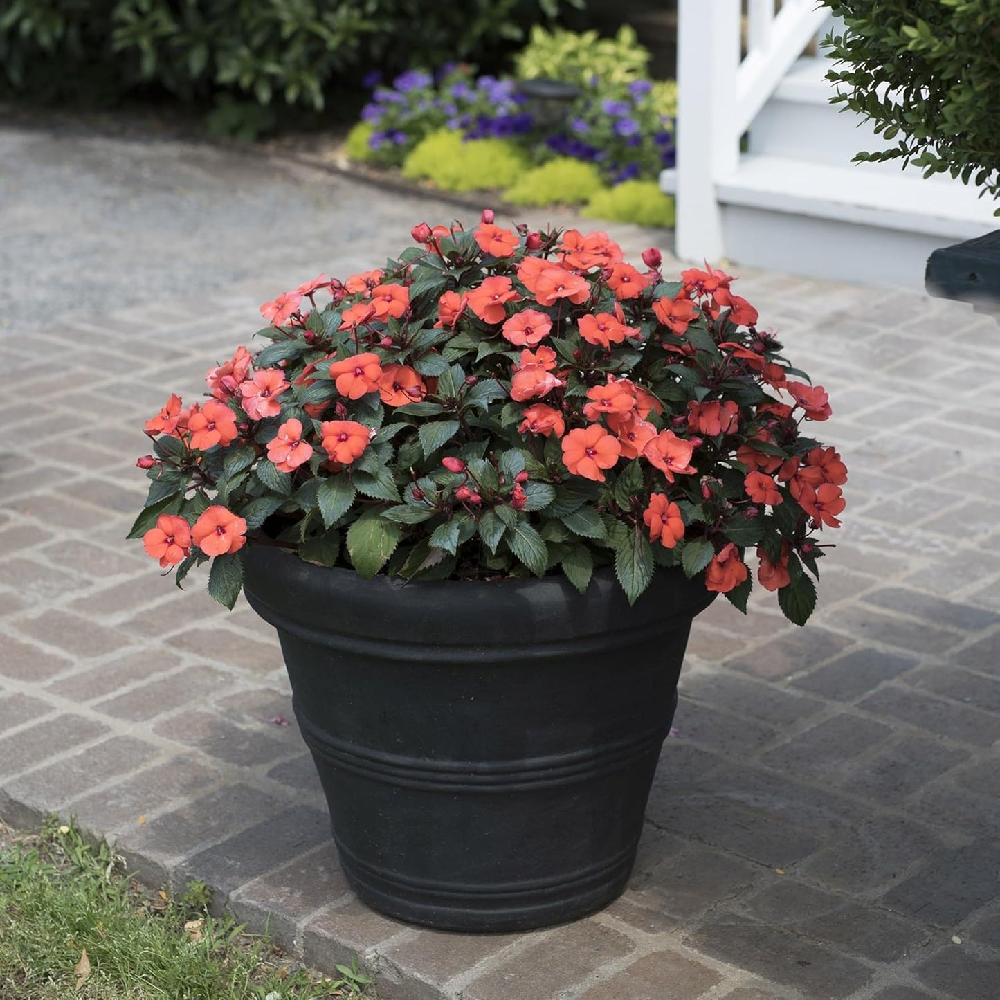 Crescent Garden Brunello Classic Rolled Rim Planter Pot, Indoor/Outdoor Plastic Round Plant Pot - Resin Large UV-Resistant Flower Pot - Frostproof, Fadeproof Pots - 27'W' (Black)