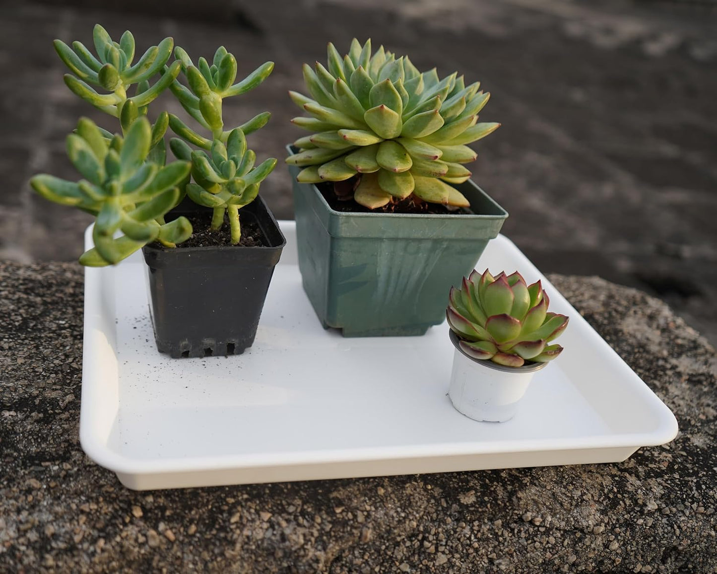 Rectangle Plant Tray, Plant Drip Tray, Plant Pot Saucers, Plant Germination Trays, Plant Saucers, 14.5'' x 11'' x 1.5'' (2 pack), Creamy White