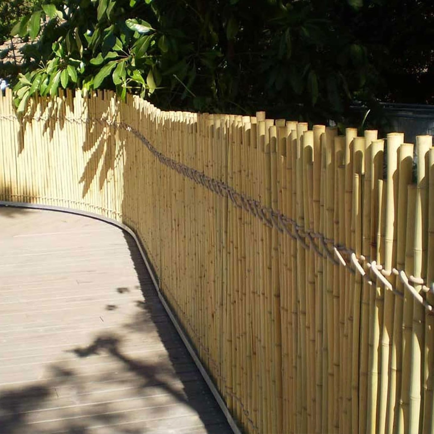 FOREVER BAMBOO 72" L Solid Bamboo Poles for Structural Design and Weight-Bearing Support (6-Pack)