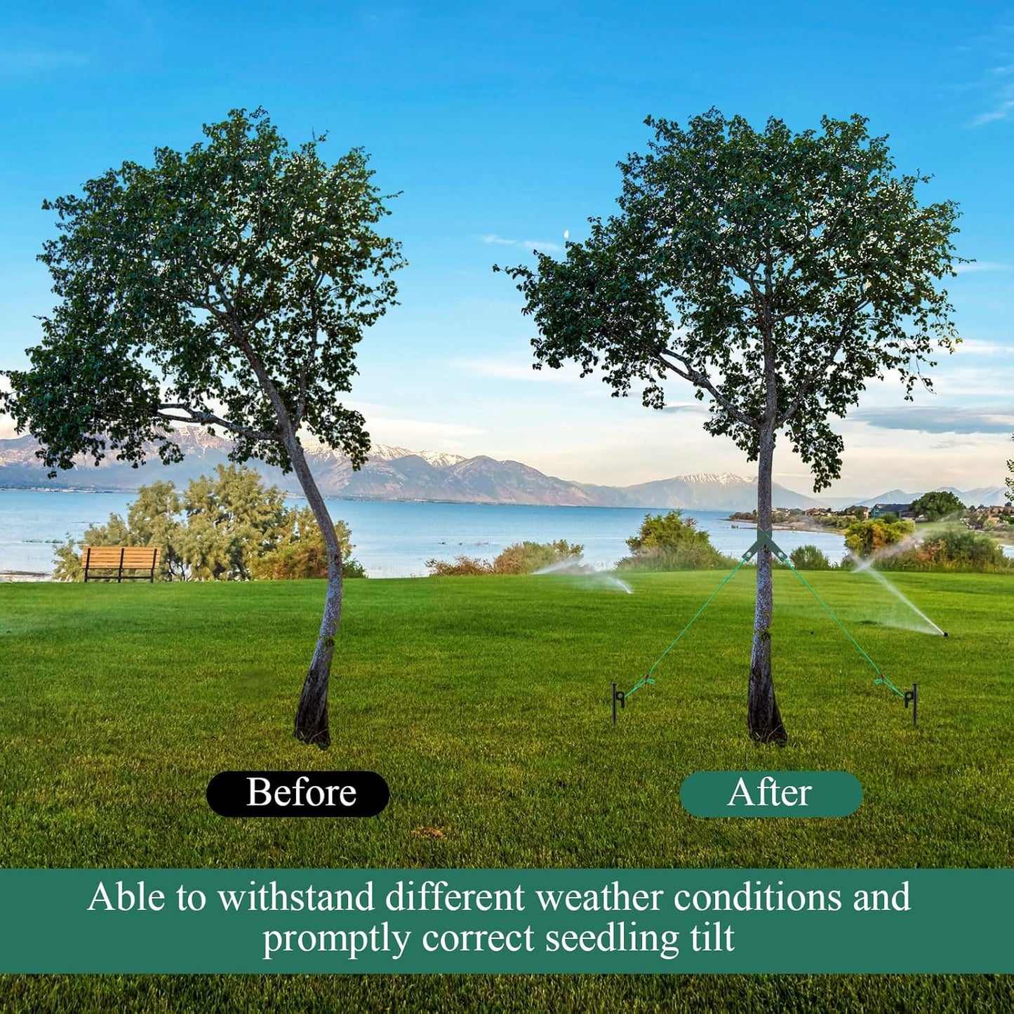 Suzile 120 Pcs Tree Stake Kit, Heavy Duty Tree Staking and Supports for Leaning Trees Include 11. 8'' Steel Stakes 15. 8'' Support Straps 13. 12 ft Ropes for Anchoring Hurricane Protection (Green)