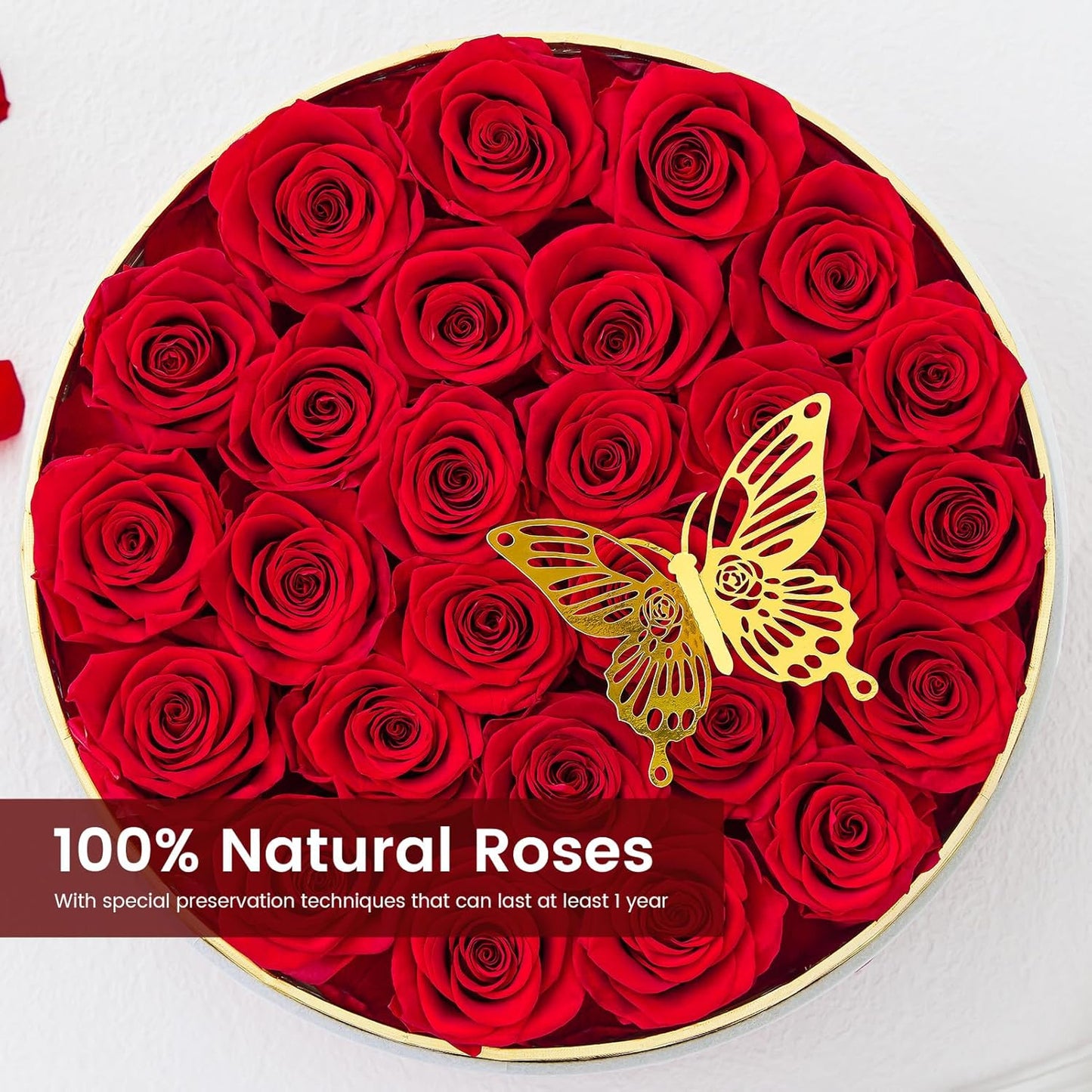 Preserved Roses Forever Flowers Real Roses in a Box Mother's Day Birthday Flowers for Her Mom Women Wife Valentine's Day, Red, 27 Piece