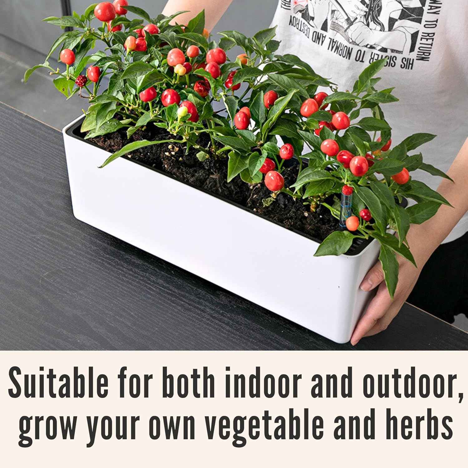 LaLaGreen Planter Box for Indoor Plants (16 Inch, 2 Pack) White Rectangular Self Watering Flower Pot, Large Window Boxes Planters with Drainage Decorative Modern Balcony Windowsill Herbs Home Garden