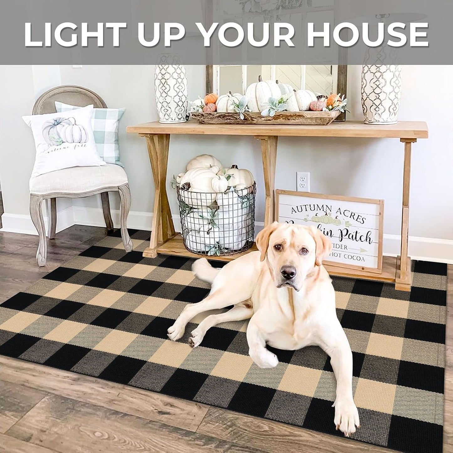 IOHOUZE Buffalo Plaid Checkered Rug 4x6 Ft Front Door Mats, Washable Area Rugs for Front Porch, Welcome Mats Indoor Outdoor, Entryway Rug for Entryway, Home Entrance, Tan Black