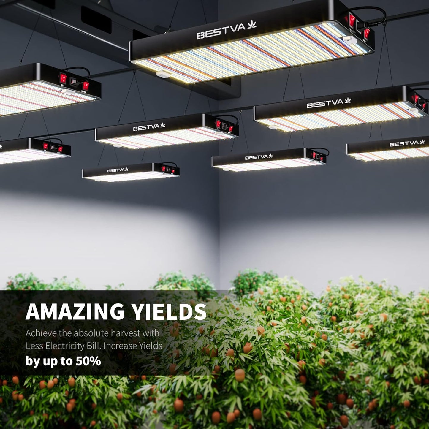 BESTVA DC3000 LED Grow Light with High Yield Diodes Full Spectrum for Indoor Plants, Greenhouse, Hydroponic, Veg Bloom Light