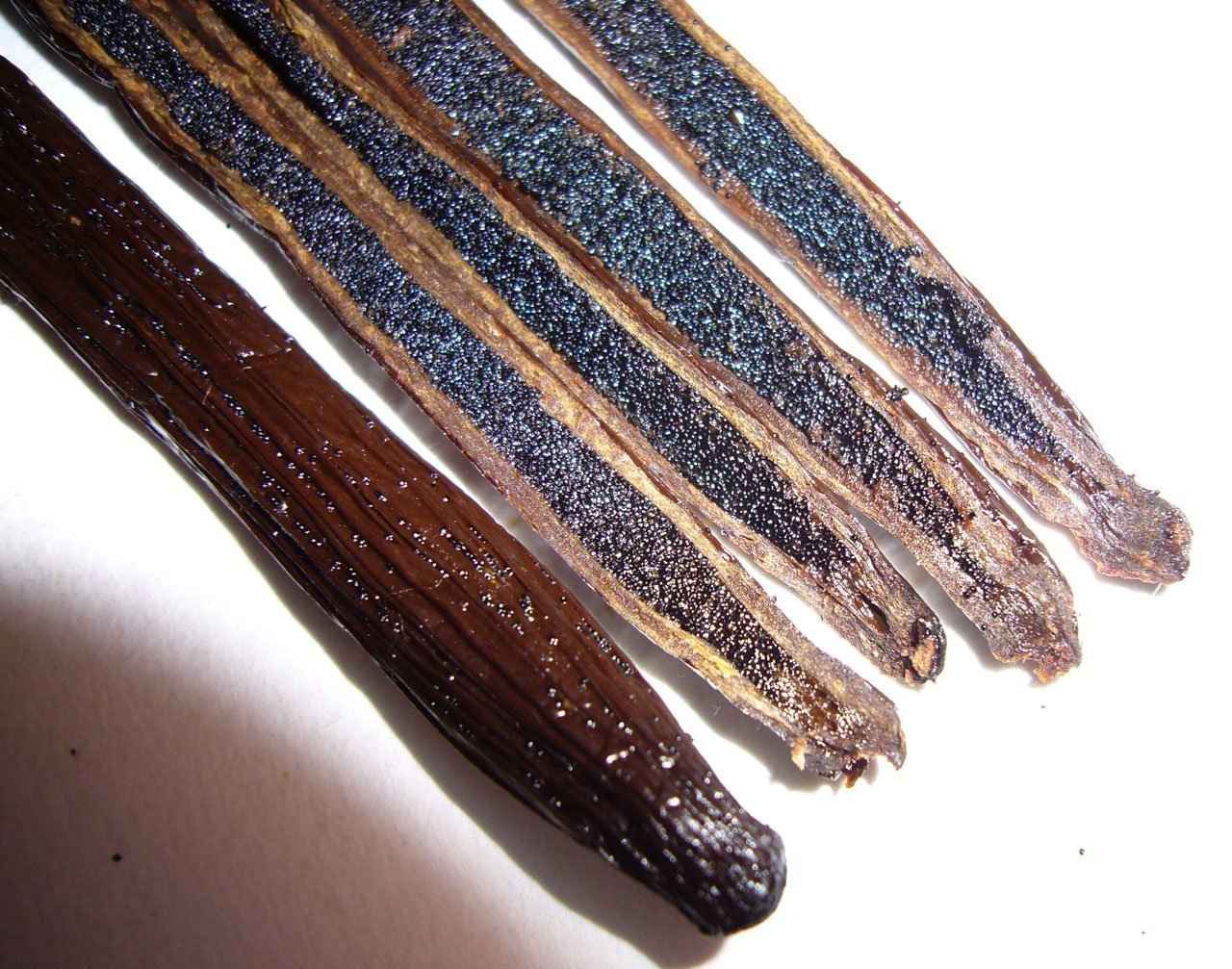 10 Mexican Vanilla Beans Whole Grade A Gourmet Vanilla Pods for Homemade Vanilla Extract and Baking from Veracruz, Mexico