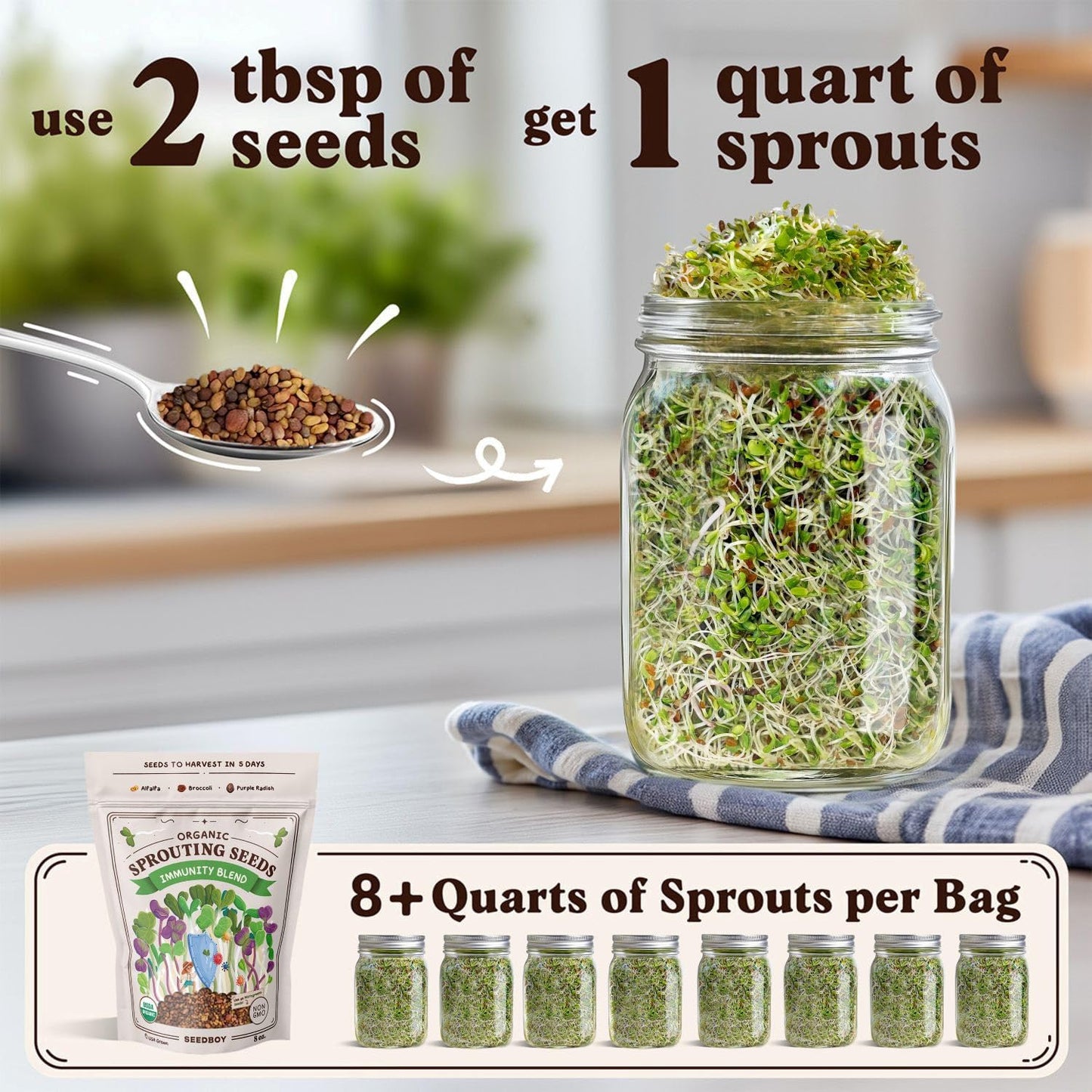 Seedboy Organic Sprouting Seeds - Immune System Booster Blend - Non-GMO, USA Grown - Broccoli, Purple Radish, Alfalfa - Makes 8 Quarts of Sprouts, 24 Servings (8 oz) (Immune System Booster Blend)