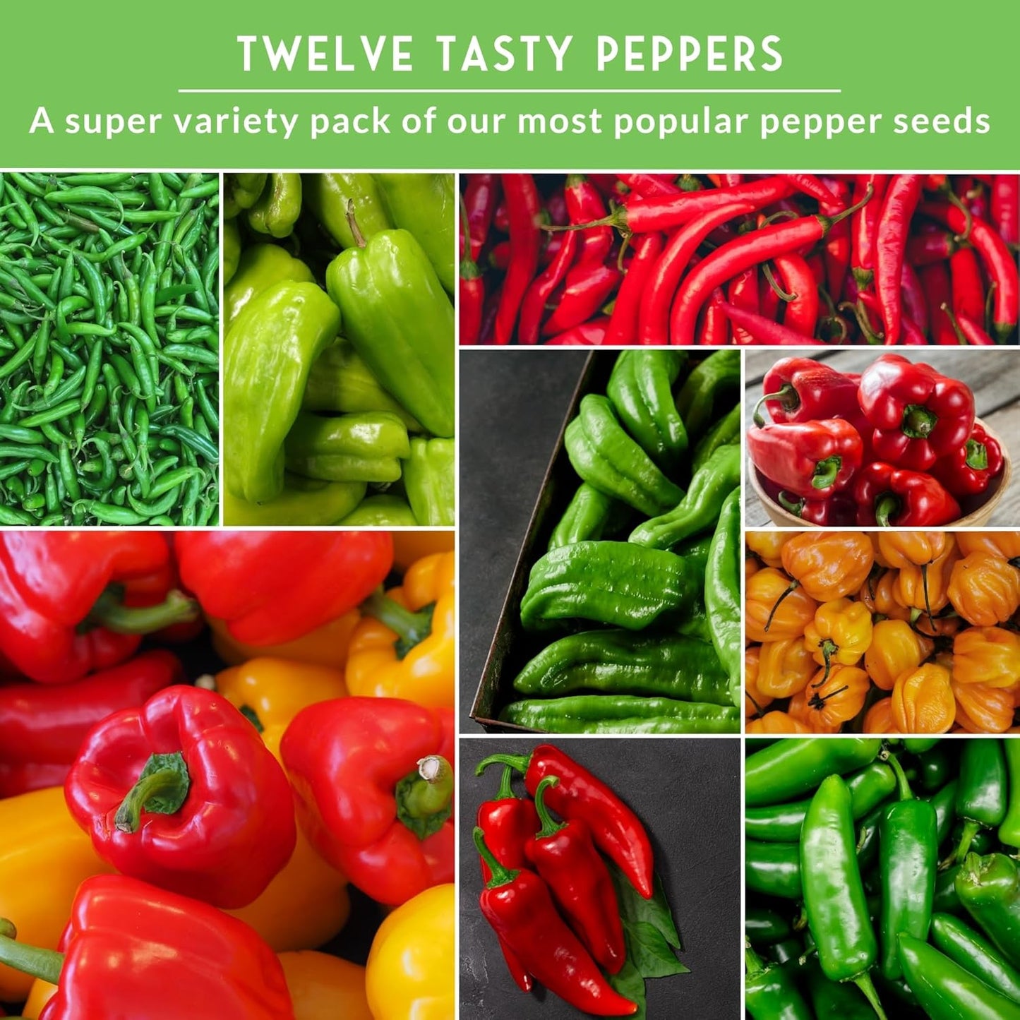 Pepper Seeds for Planting - 12 Variety Pack | Jalapeño, Serrano, Cayenne, Bell, Habanero, Anaheim & More – Hot & Sweet Heirloom, Non-GMO Pepper Seed Varieties – Survival Garden Seeds