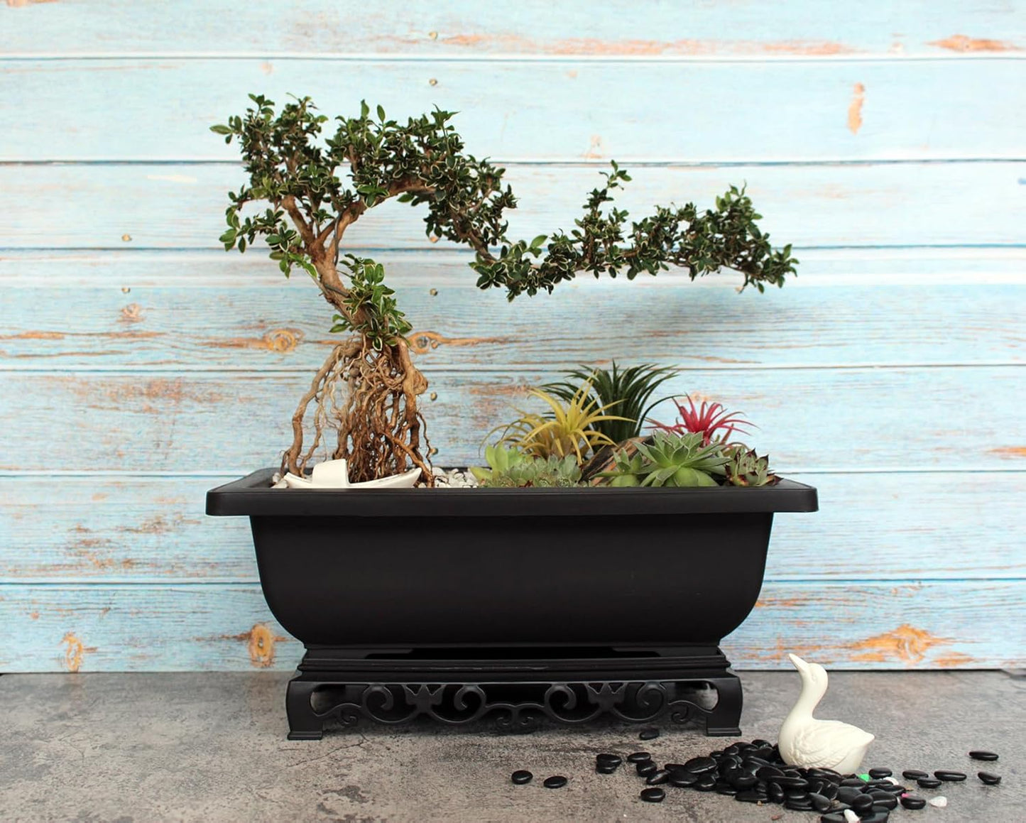 Bonsai Pot – 2-Pack 11.5 Inch Bonsai Training Pot with Eelegant Stand – Antique Brown Bonsai Pots with Mesh Drainage – Luxurious Bonsai Tree Pots Indoor Made with Recycled Plastic