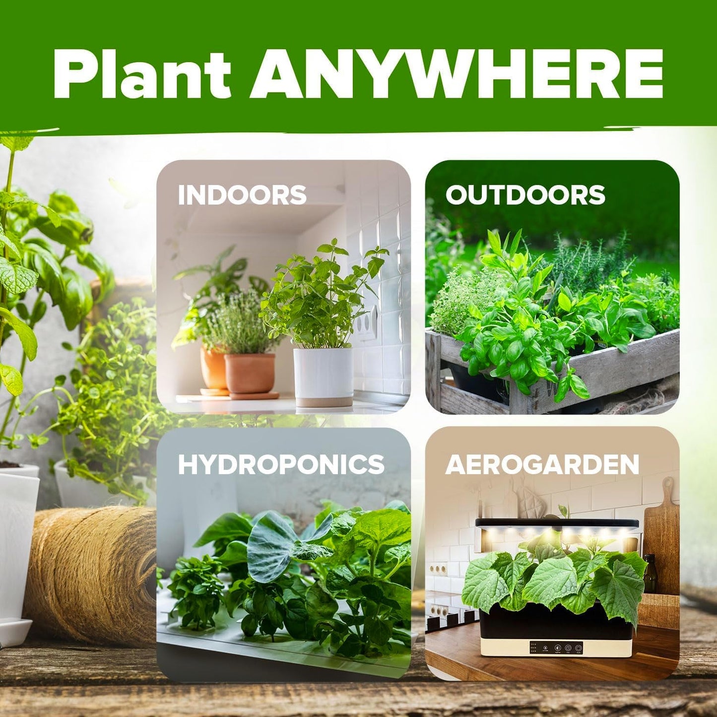 HOME GROWN 5 Herb Seeds for Planting 2,150+ Non-GMO Heirloom Seeds | Extra Large Variety Pack Herb Kit – Indoor Outdoor & Hydroponic | Culinary Seed Set | Grow Your Own Herbs | Gift for Beginners
