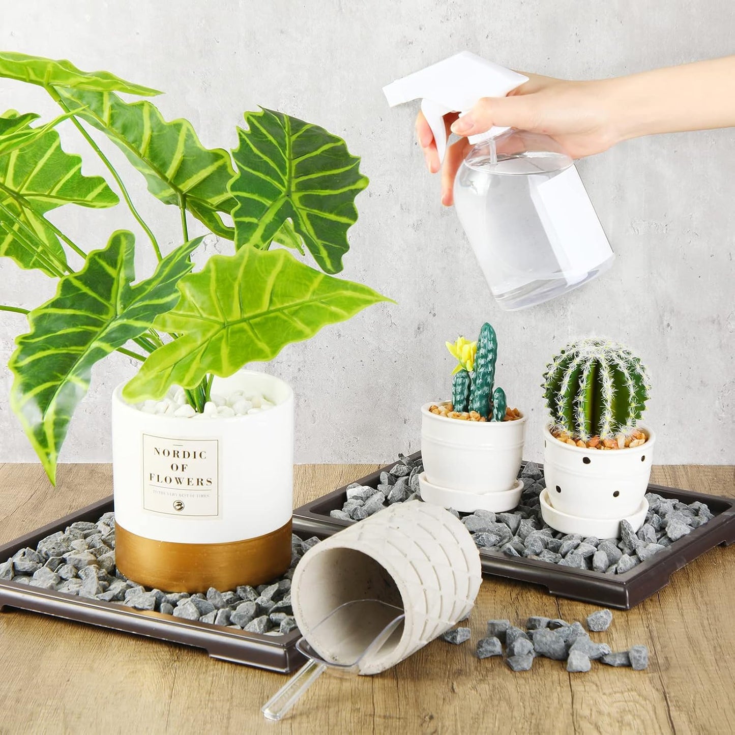 Pinkunn 2 Pcs Bonsai Humidity Tray Drip Tray Plastic Plant Water Catcher Plant Saucers for Indoors and Outdoors Cactus,Succulents,Bonsai Tree,Stone Not Included (11 x 8 Inch)