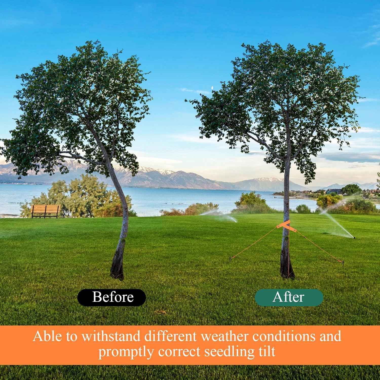 Suzile 48 Pcs Tree Stake Kit, Heavy Duty Tree Staking and Supports for Leaning Trees Include 11. 8'' Steel Stakes 15. 8'' Support Straps 13. 12 ft Rope for Anchoring Hurricane Protection (Orange)