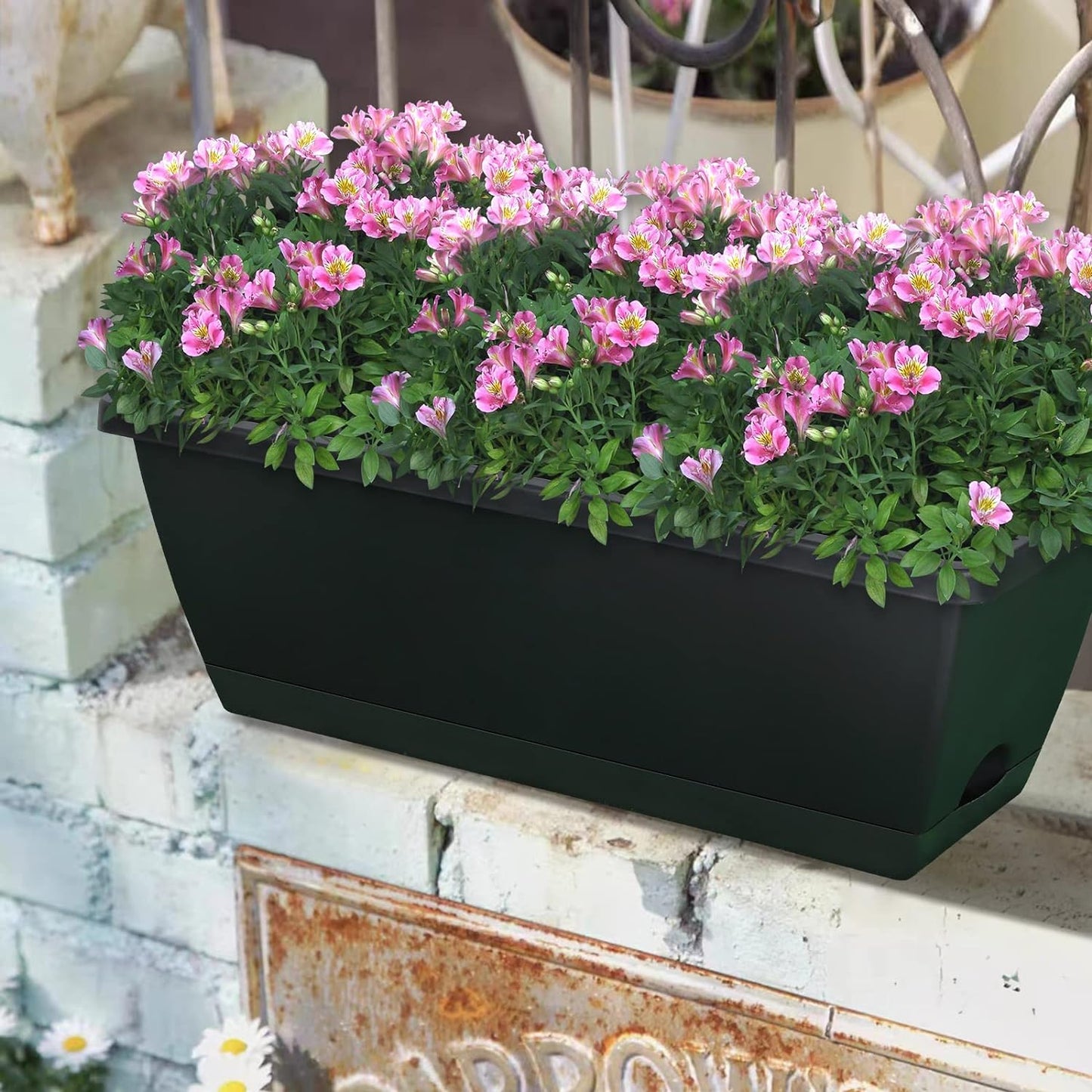Window Box Planter, 10 Pack Plastic Vegetable Flower Planters Boxes 17 Inches Rectangular Flower Pots with Saucers for Indoor Outdoor Garden, Patio, Home Decor (Black)