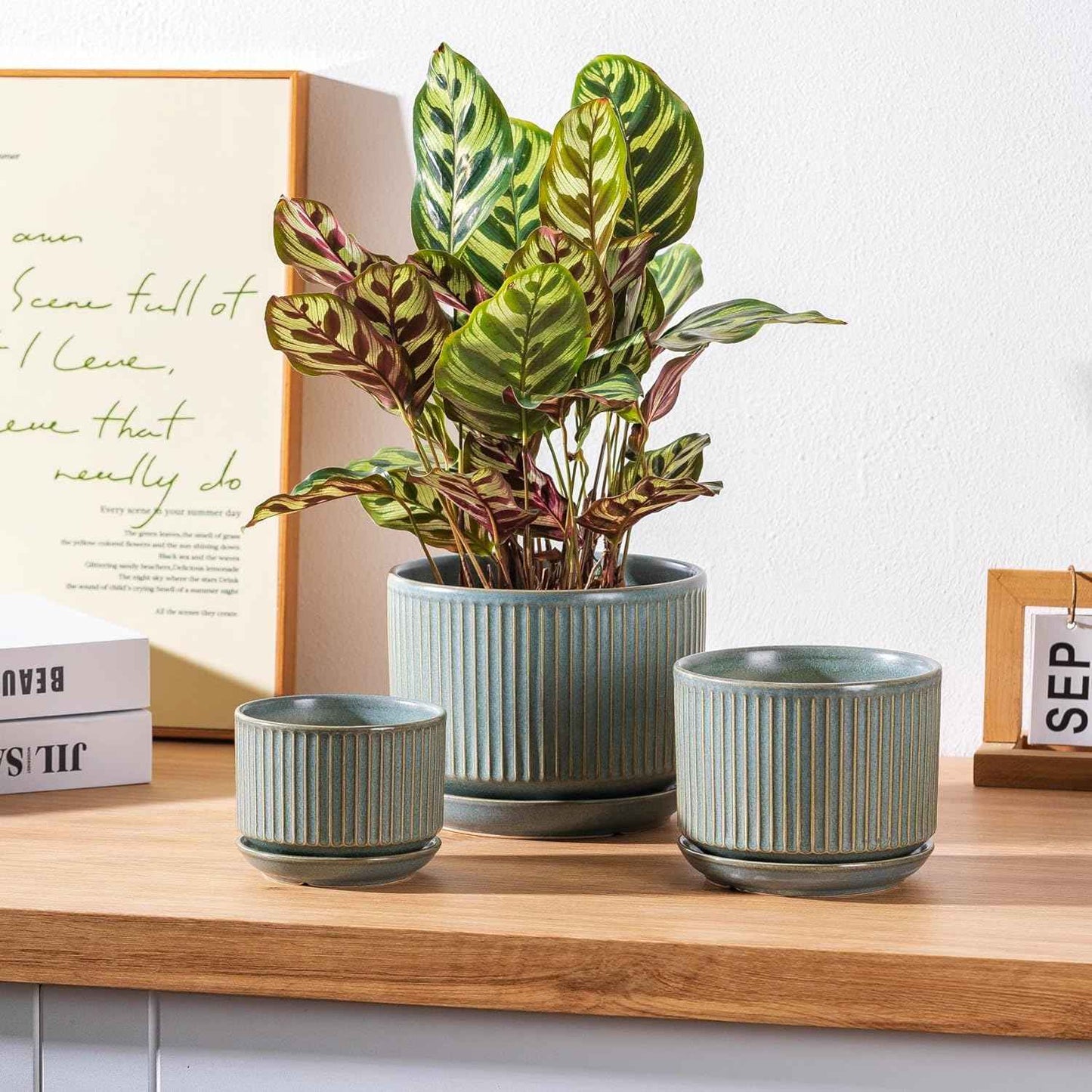 SURE YUESI Ceramic Plant Pots Set of 3, Indoor Outdoor Planters with Drainage Hole and Saucer, Ceramic Flower Pots for Indoor Plants, 4.3+5.5+6.8 Inch, Home, Garden, Patio and Office, Matte Green
