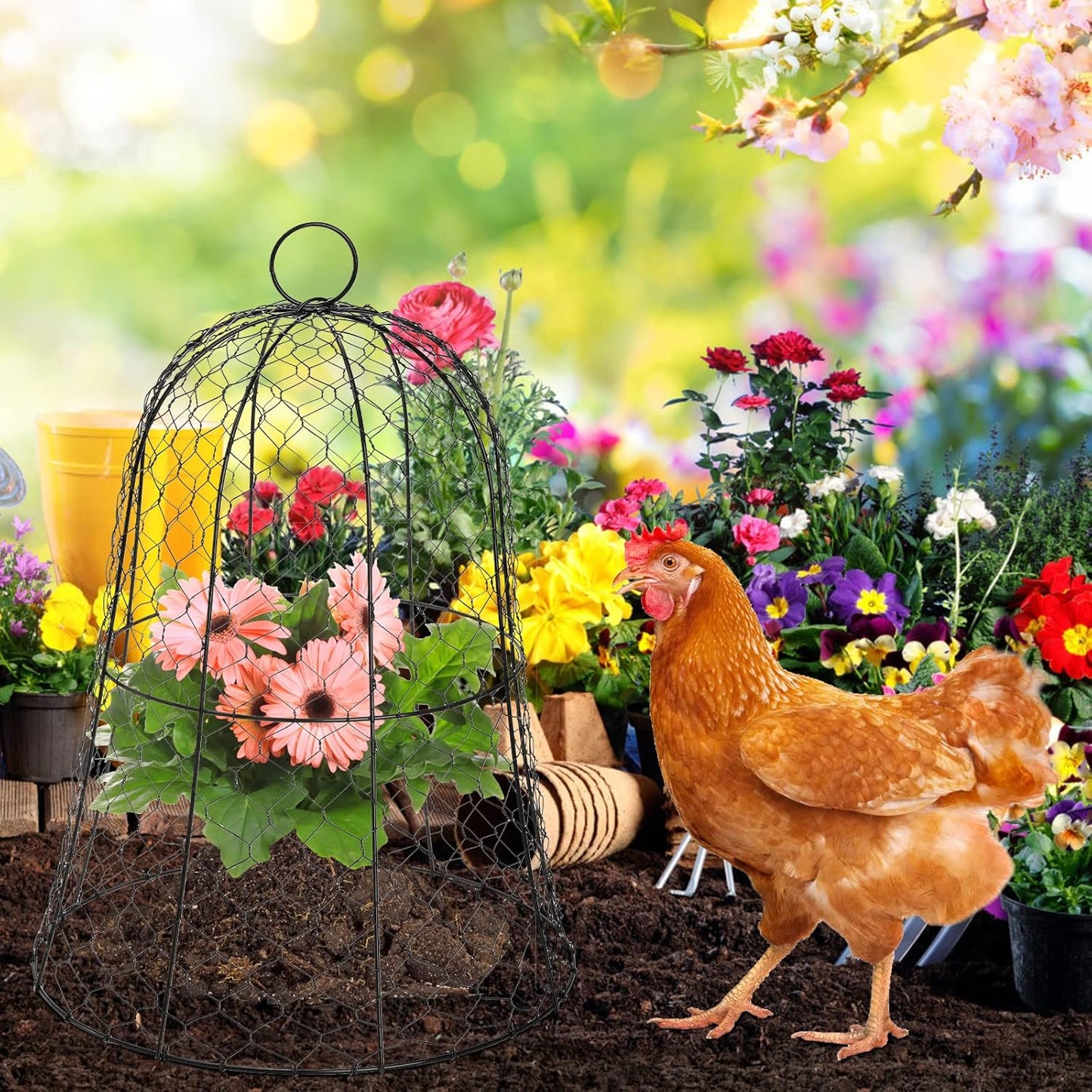 Coloch 5 Pack Garden Chicken Wire Cloche, 16x 13 Inches Black Dome Plant Protector Cover Strong Metal Garden Cloches Protecting Plants and Seedling from Animals