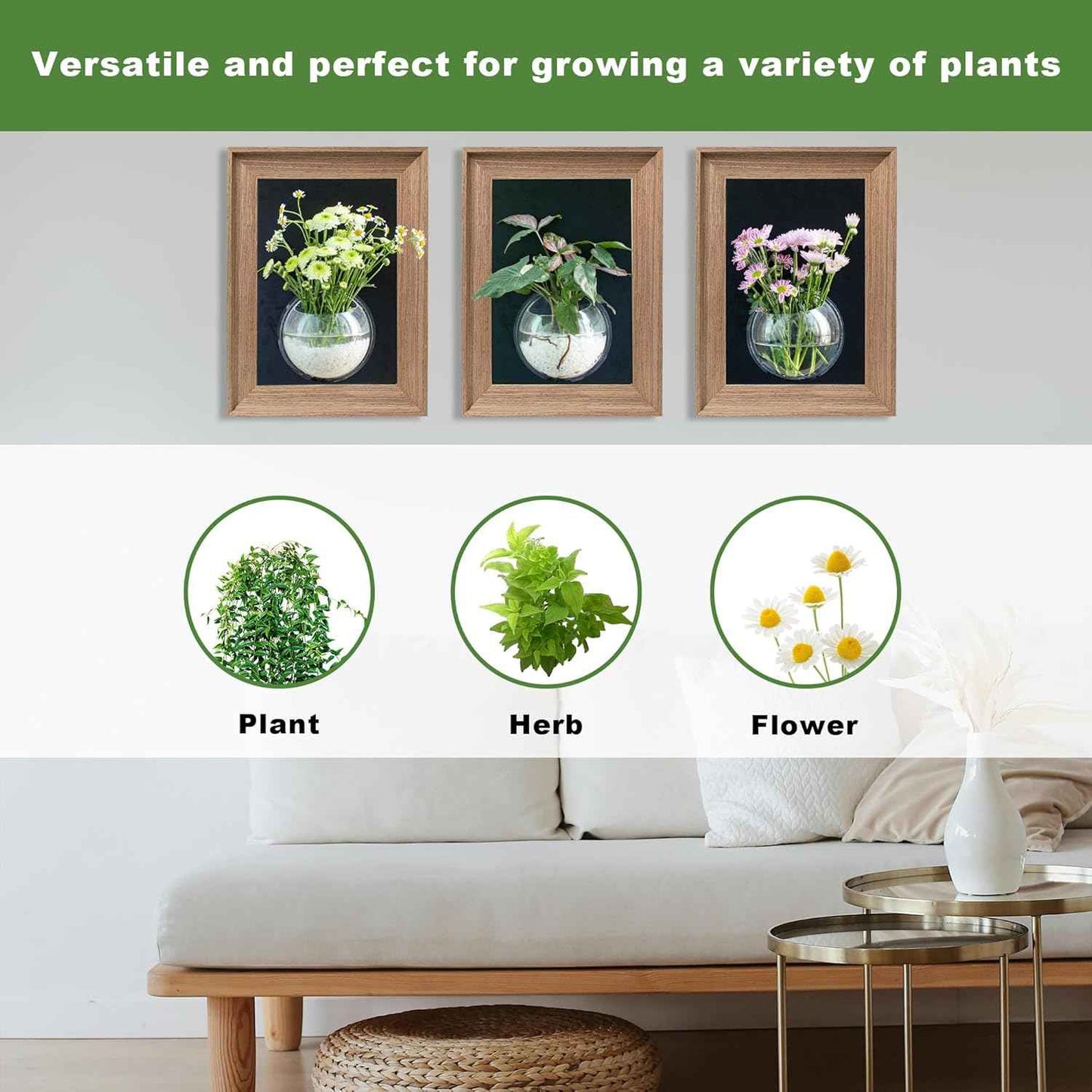 Walnut Wood Frame Wall Planter for Hydroponic Plants, 12" x 16" Wall Vase with Oblate Acrylic Propagation Station, Set of 3, Decorative Wall Hanging for Bathroom, Office & Living Room