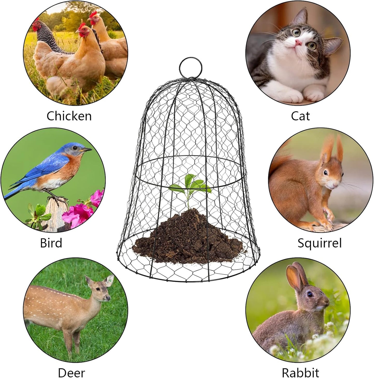 Coloch 5 Pack Garden Chicken Wire Cloche, 16x 13 Inches Black Dome Plant Protector Cover Strong Metal Garden Cloches Protecting Plants and Seedling from Animals