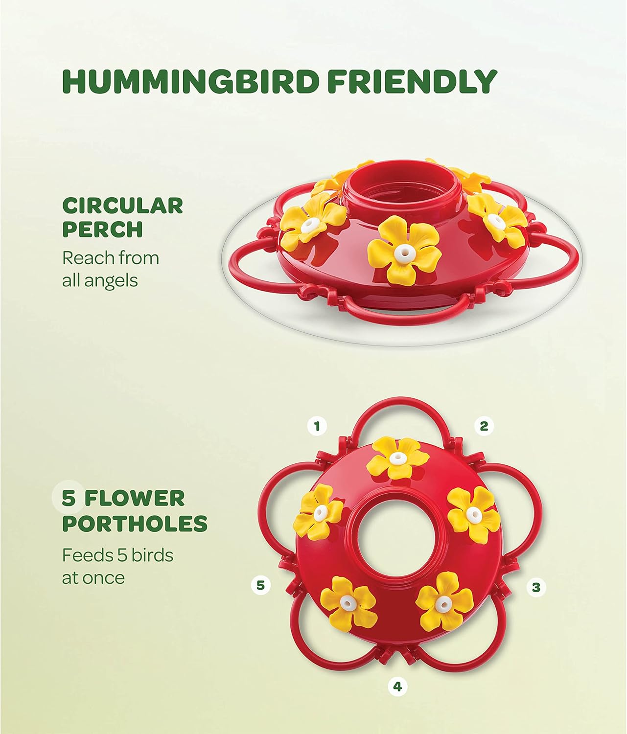 Hummingbird Feeder 10 oz [2 Pack] Glass Hummingbird Feeders for Outdoors, with Built-in Ant Guard - Circular Perch with 5 Feeding Ports - Wide Mouth for Easy Filling/2 Part Base for Easy Cleaning