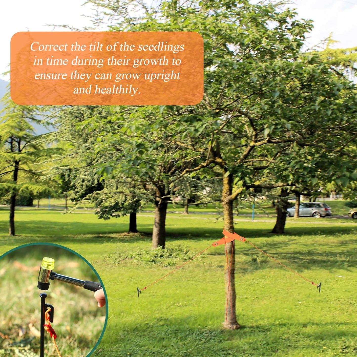Suzile 48 Pcs Tree Stake Kit, Heavy Duty Tree Staking and Supports for Leaning Trees Include 11. 8'' Steel Stakes 15. 8'' Support Straps 13. 12 ft Rope for Anchoring Hurricane Protection (Orange)
