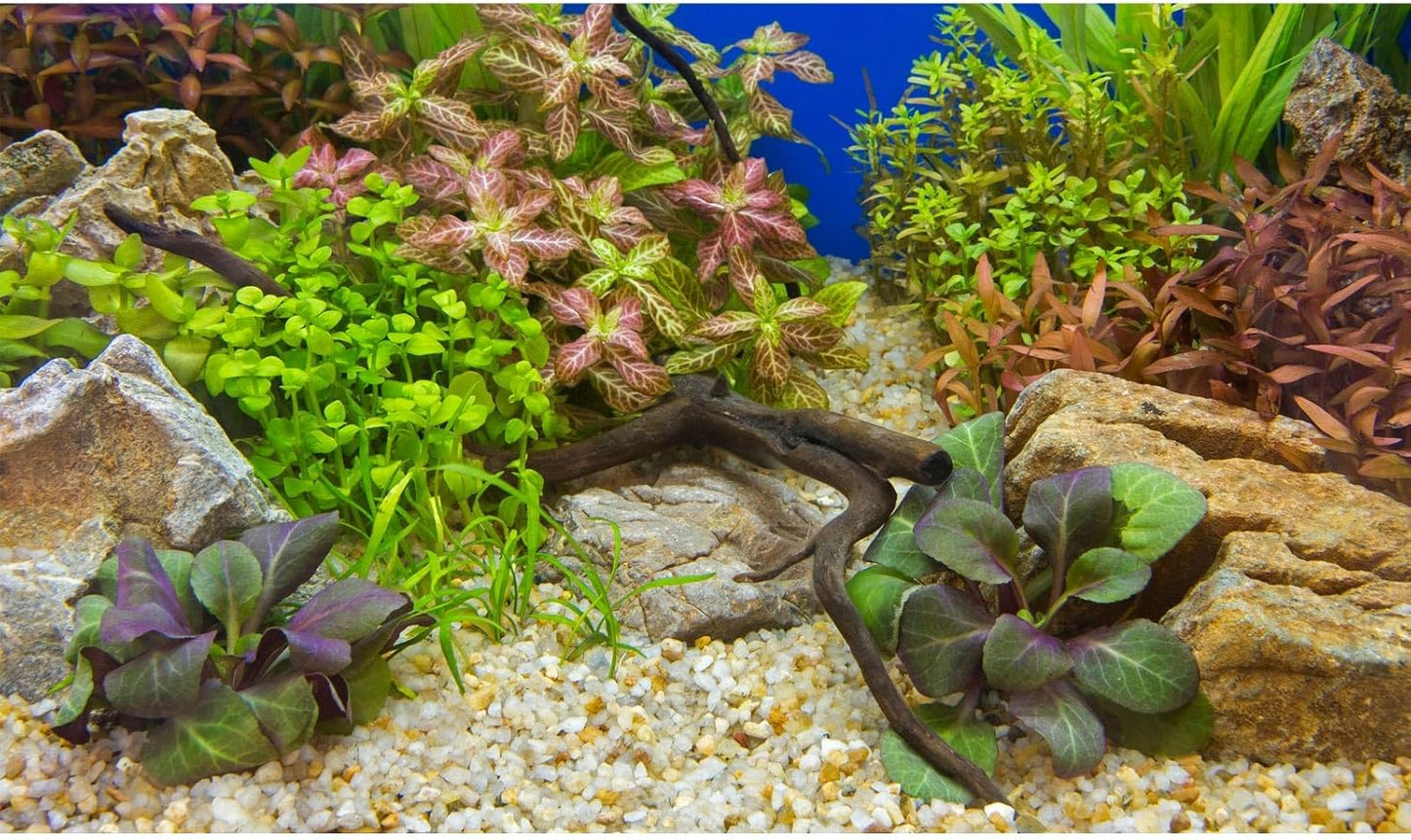 Aquarium Background Various Underwater Grass Plants Pebble Aquarium Backdrop Vivid and Fresh Green Aquatic Plants Stone River Bed and Dead Wood Purple Leaves Tank Background Vinyl 36x20in