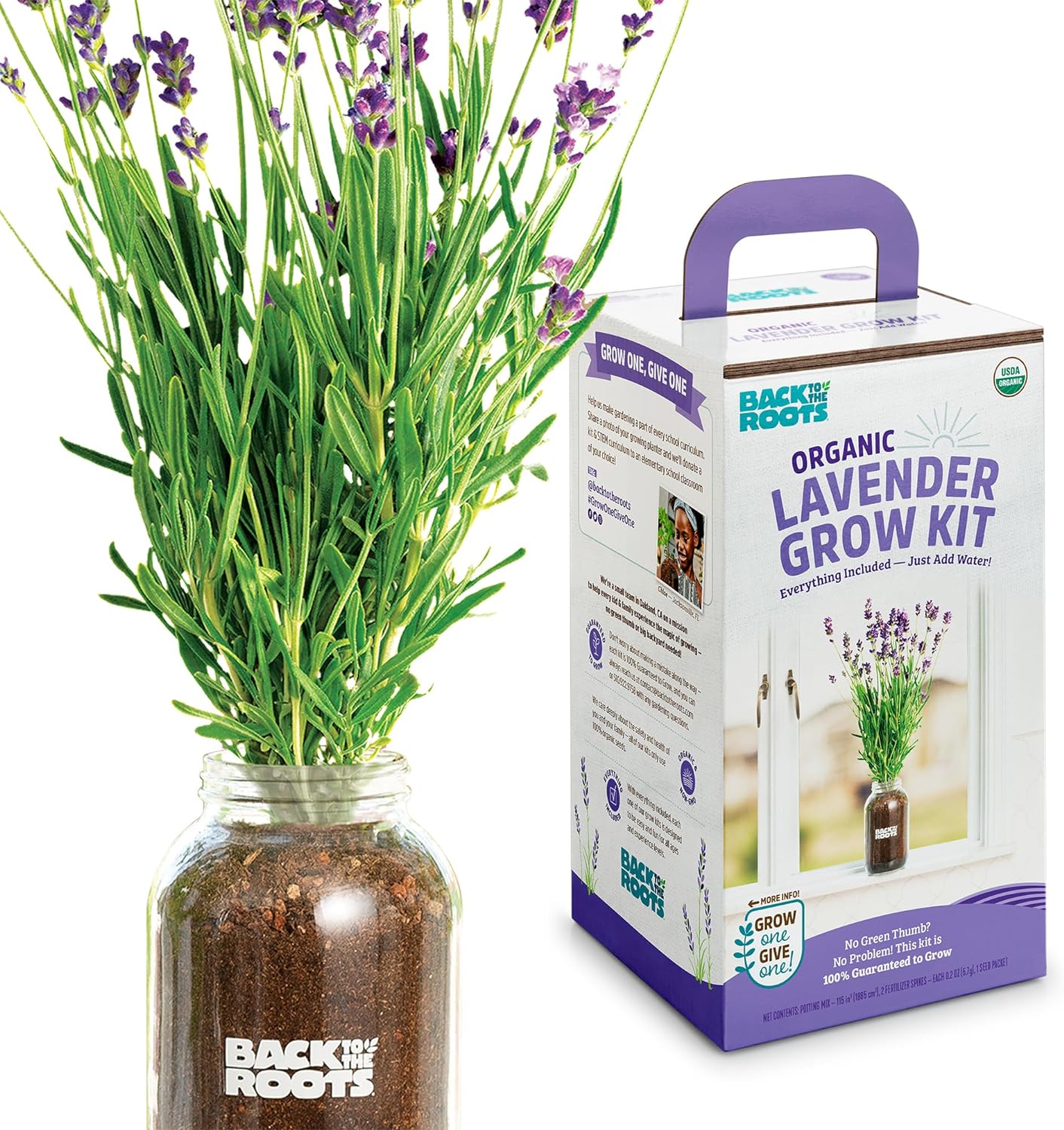 Back to the Roots Windowsill Planter: Lavender