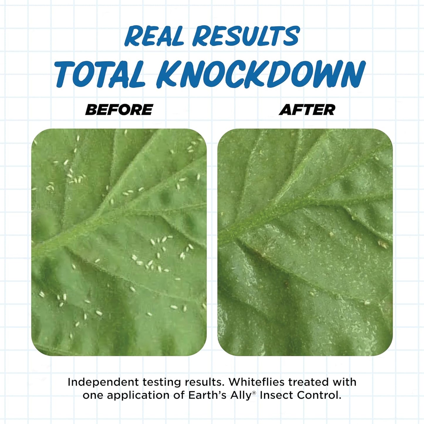 Earth's Ally Insect Control for Plants Ready-to-Use 24 oz | Safe Outdoor & Indoor Plant Insecticide, Spider Mite, Aphid & Mealybug Killer - Effective Spray for Organic Garden & Household Plants