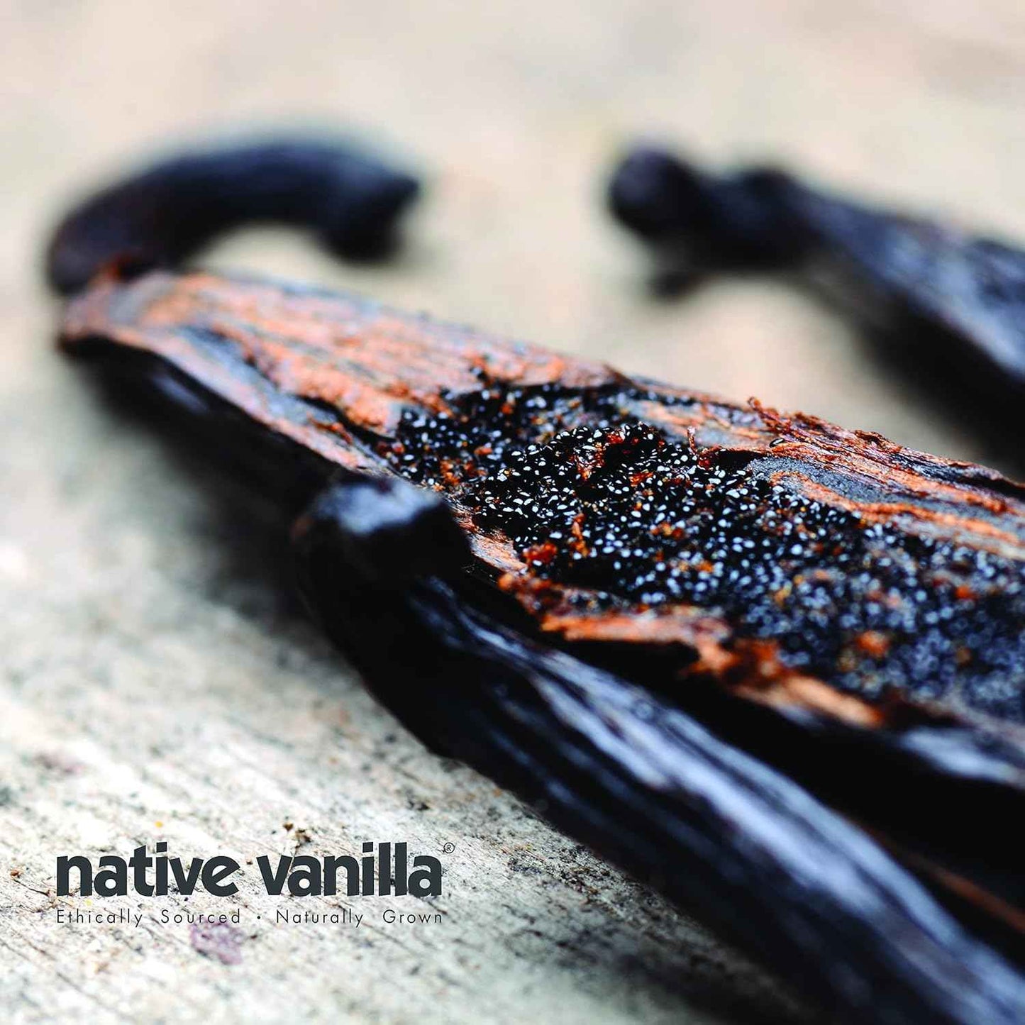 50 Organic Madagascar Vanilla Beans - Whole Grade A Premium Bourbon Pods - For Making Extract & Baking - For Cooking, Desserts & More - 100% Vegan & Kosher - Non-GMO & Gluten-Free - Native Vanilla