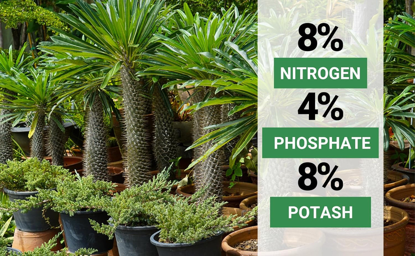8-4-8 Professional Palm Tree Fertilizer Plant Food; for Indoor Potted Plants and Outdoor Landscape Palm Trees; Quick-Release Nitrogen Fertilizer and Continuous Feeding (2 QUARTS)