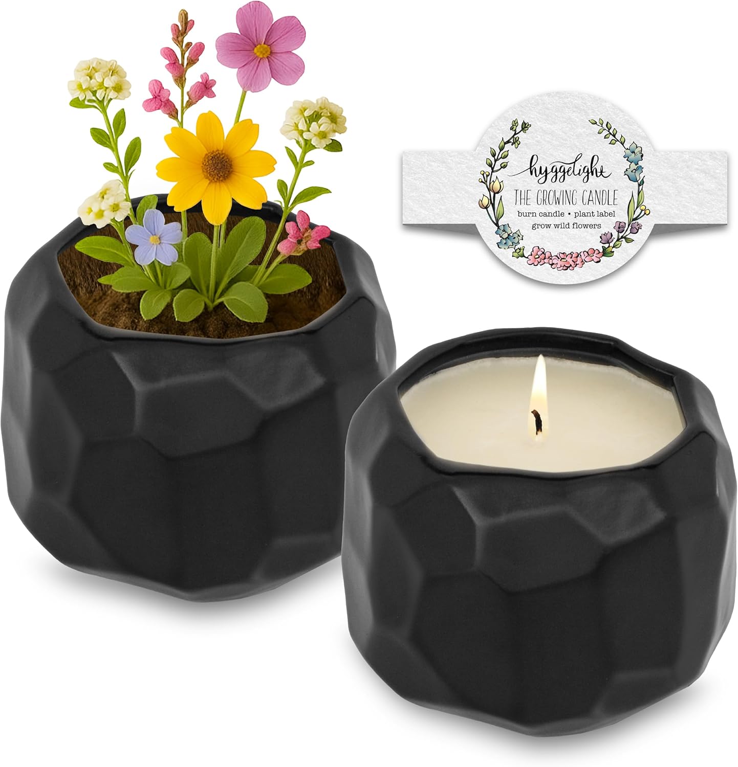 The Growing Candle, Wild Flower Scented, 13oz Ceramic Pot, Single Wick Aromatherapy Candles, 100% Soy for Women and Men, Emma