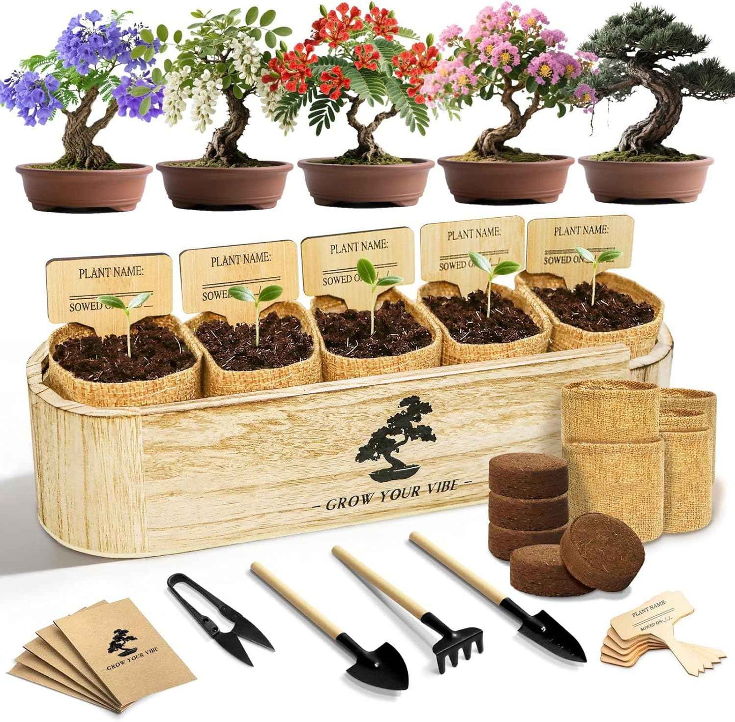 LUOJIBIE Bonsai Tree Kit for Beginners - Unique Gifts for Women, Crafts for Adults, for Women & Men,Complete Indoor Plant Kit,Easy House Plant