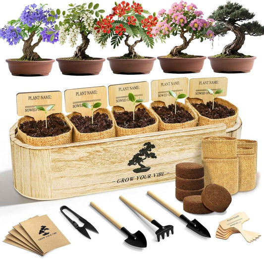 LUOJIBIE Bonsai Tree Kit for Beginners - Unique Gifts for Women, Crafts for Adults, for Women & Men,Complete Indoor Plant Kit,Easy House Plant