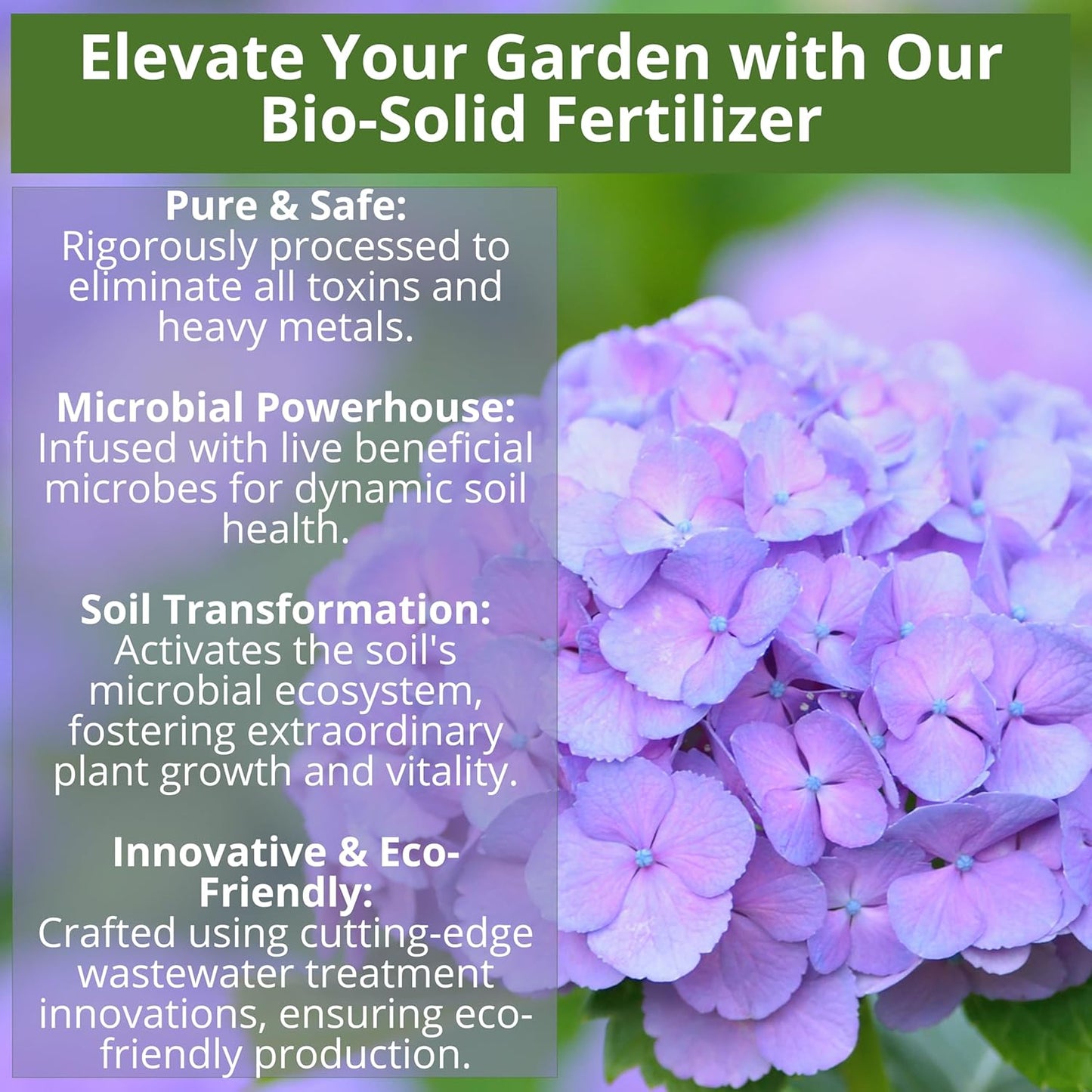 8-4-8 Acidic Fertilizer for Azaleas, Camellias (Camelia), Hydrangeas, Blueberries, Gardenias, Magnolia Trees, Evergreens, and Rhododendrons - Ideal Iron-Rich Plant Food (12 OZ)