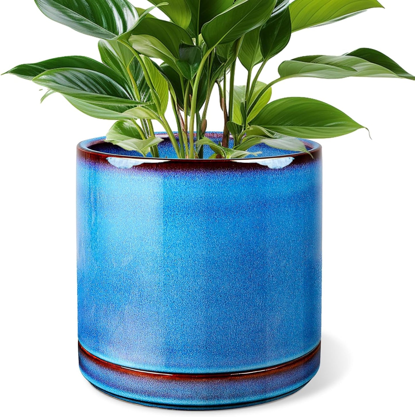EFISPSS Ceramic Planter 8 Inch, Ceramic Plant Pots with Drainage Hole and Saucer, Indoor Modern Flower Pot for Home and Office Flower Pot - Blue